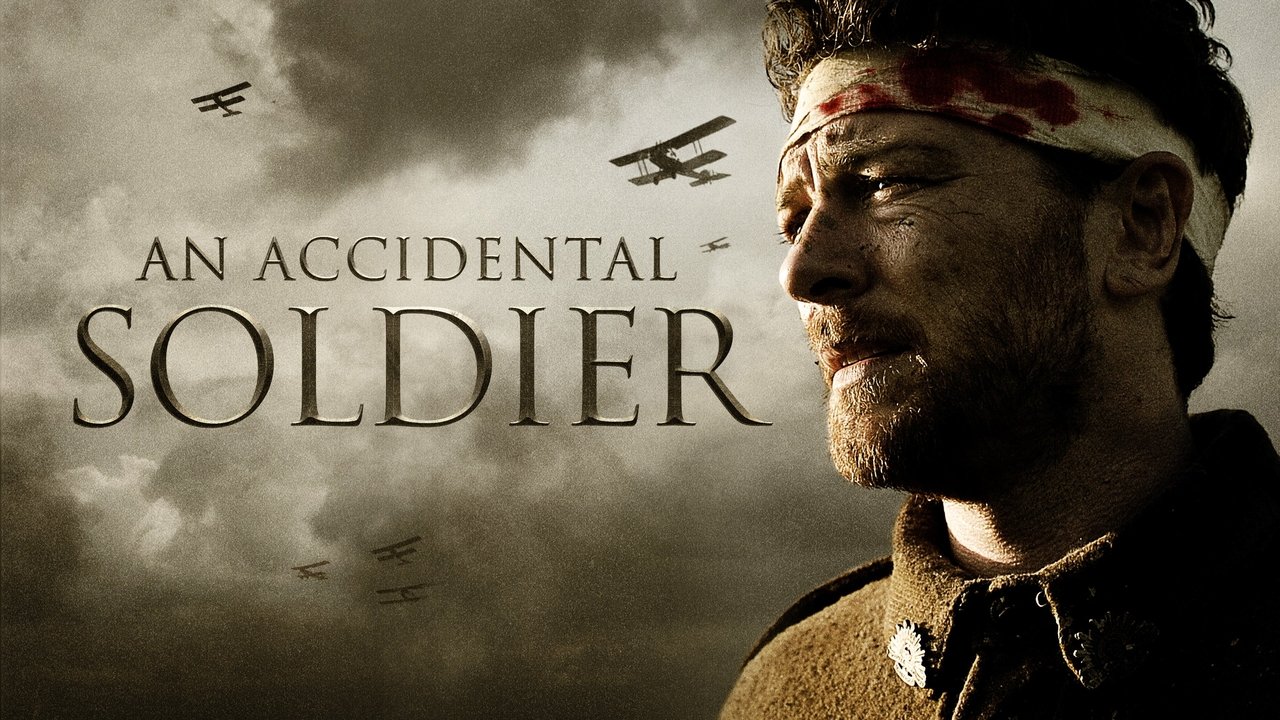 An Accidental Soldier