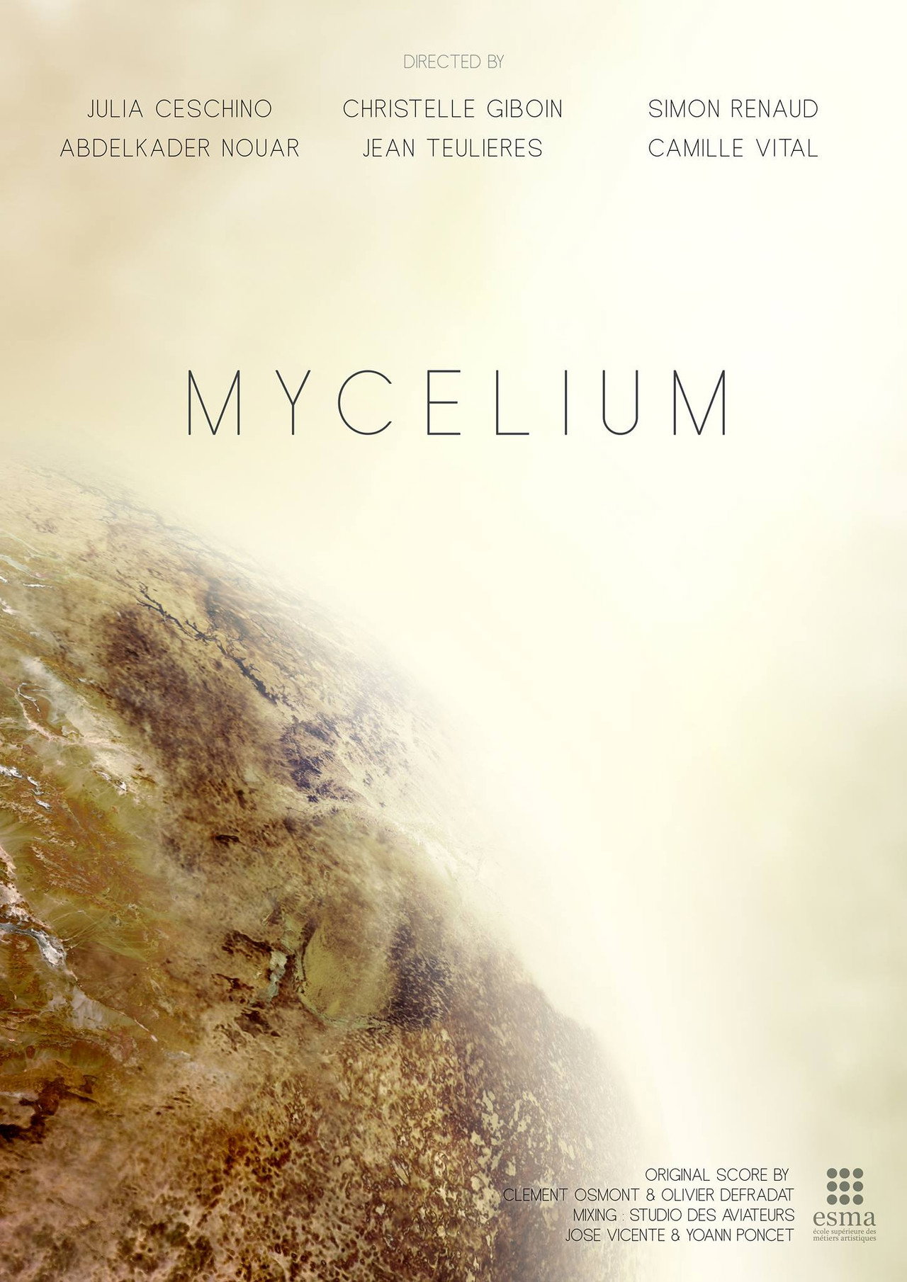 Mycelium poster