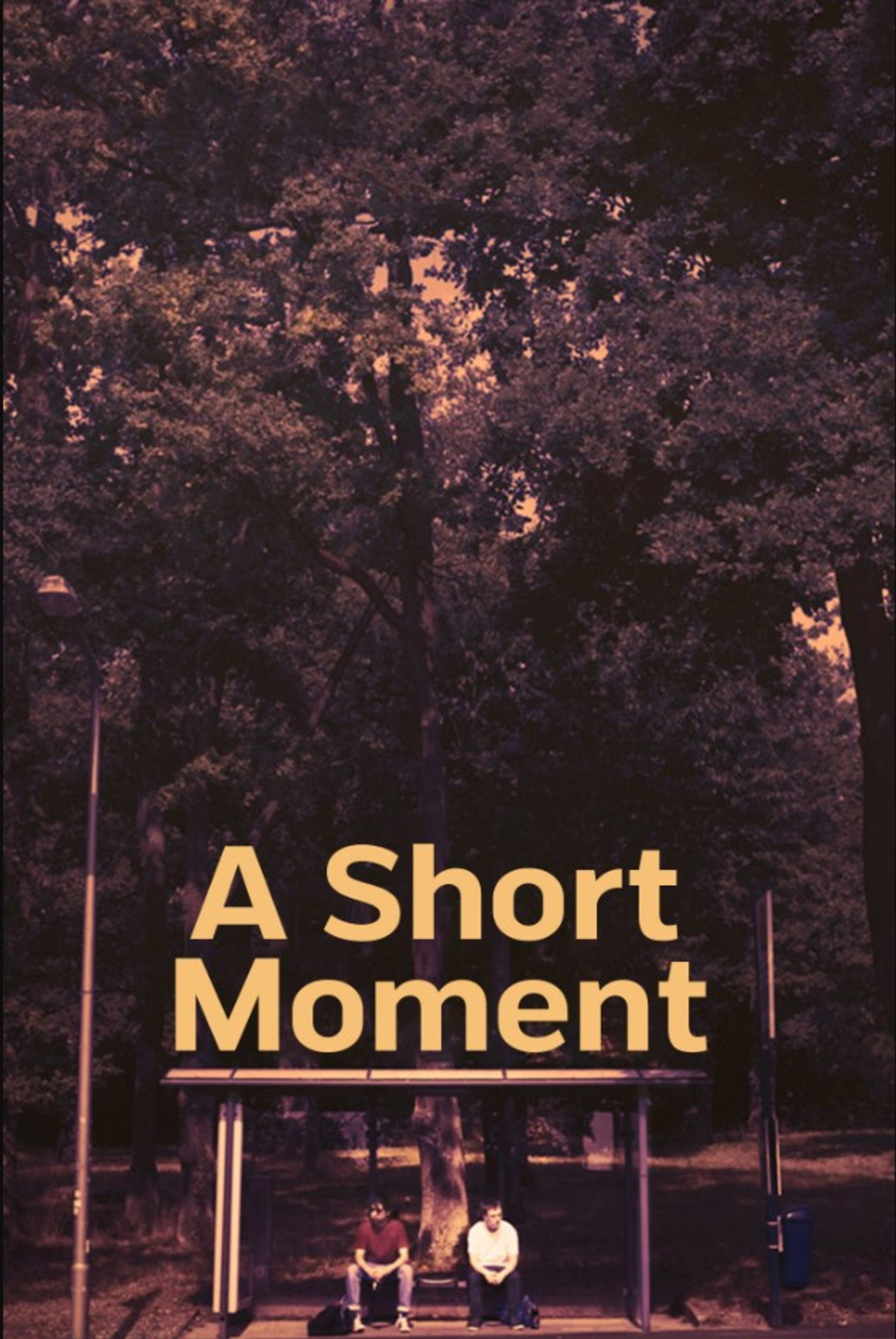 A Short Moment Backdrop