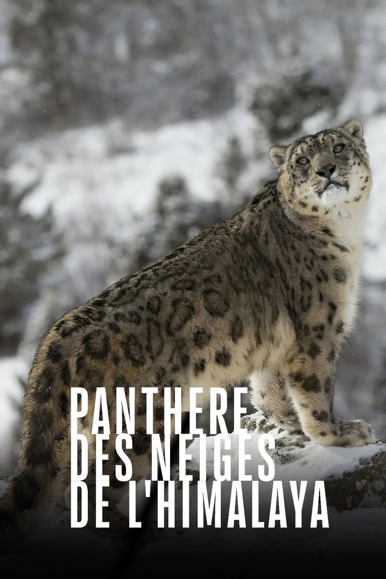 Recommendations image