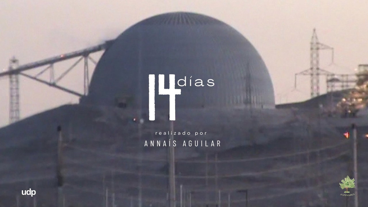 Backdrop for 14 Días