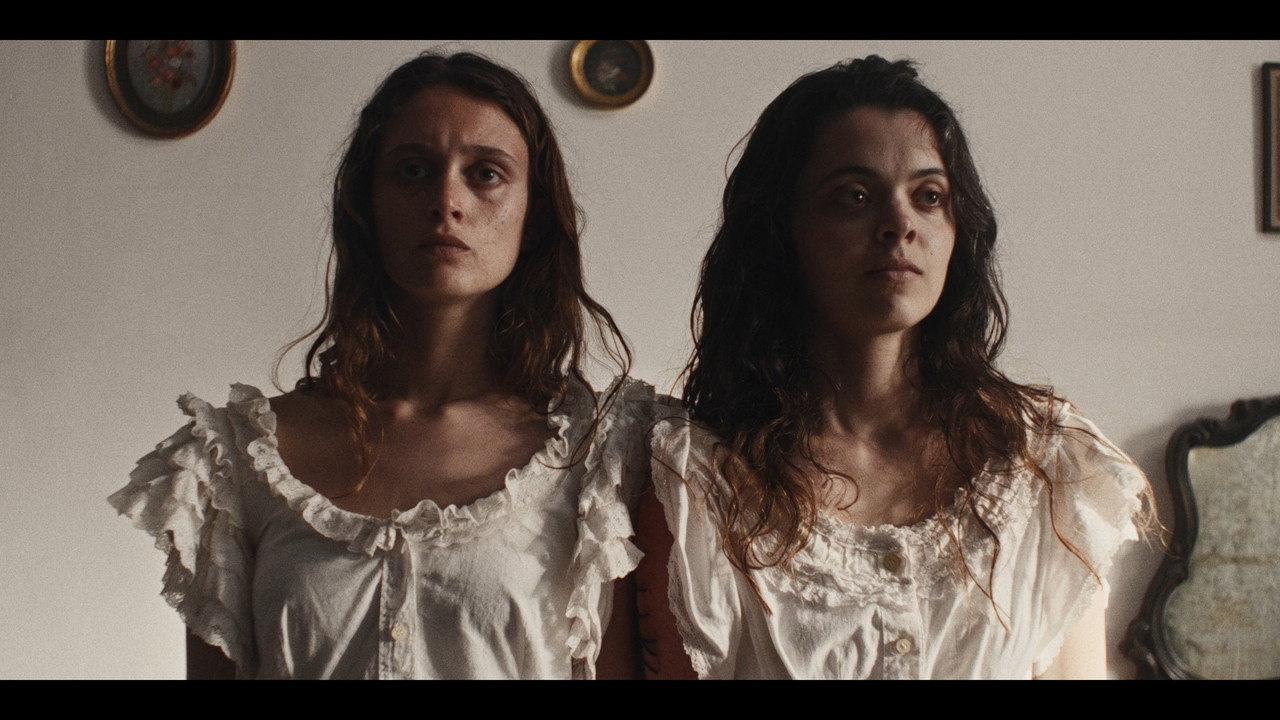 Carne still 7
