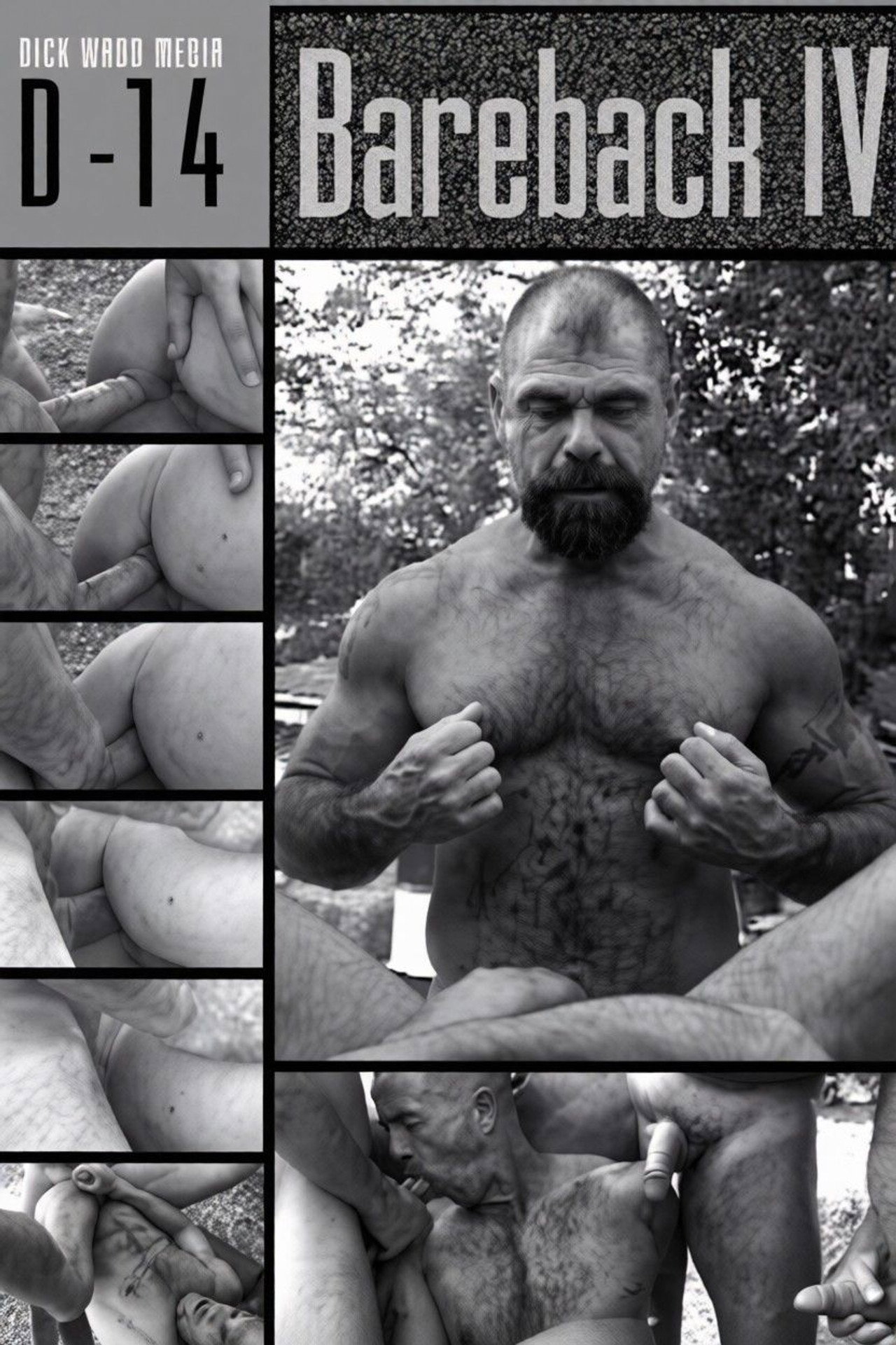 Bareback 4: Huge Poles, Hungry Holes poster