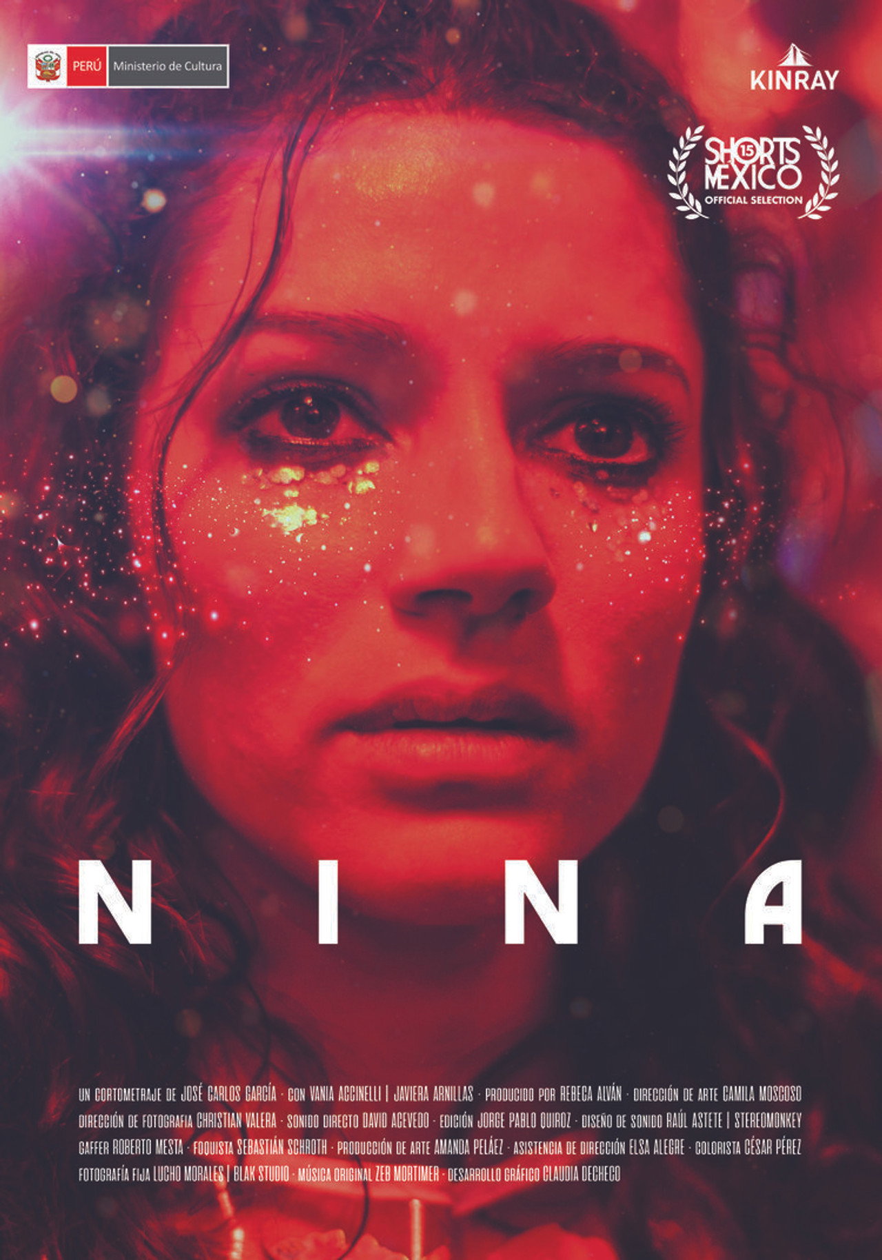 Nina filmaffisch