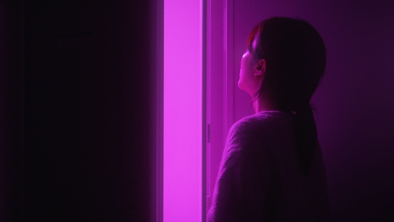 Purple Swallow 2025