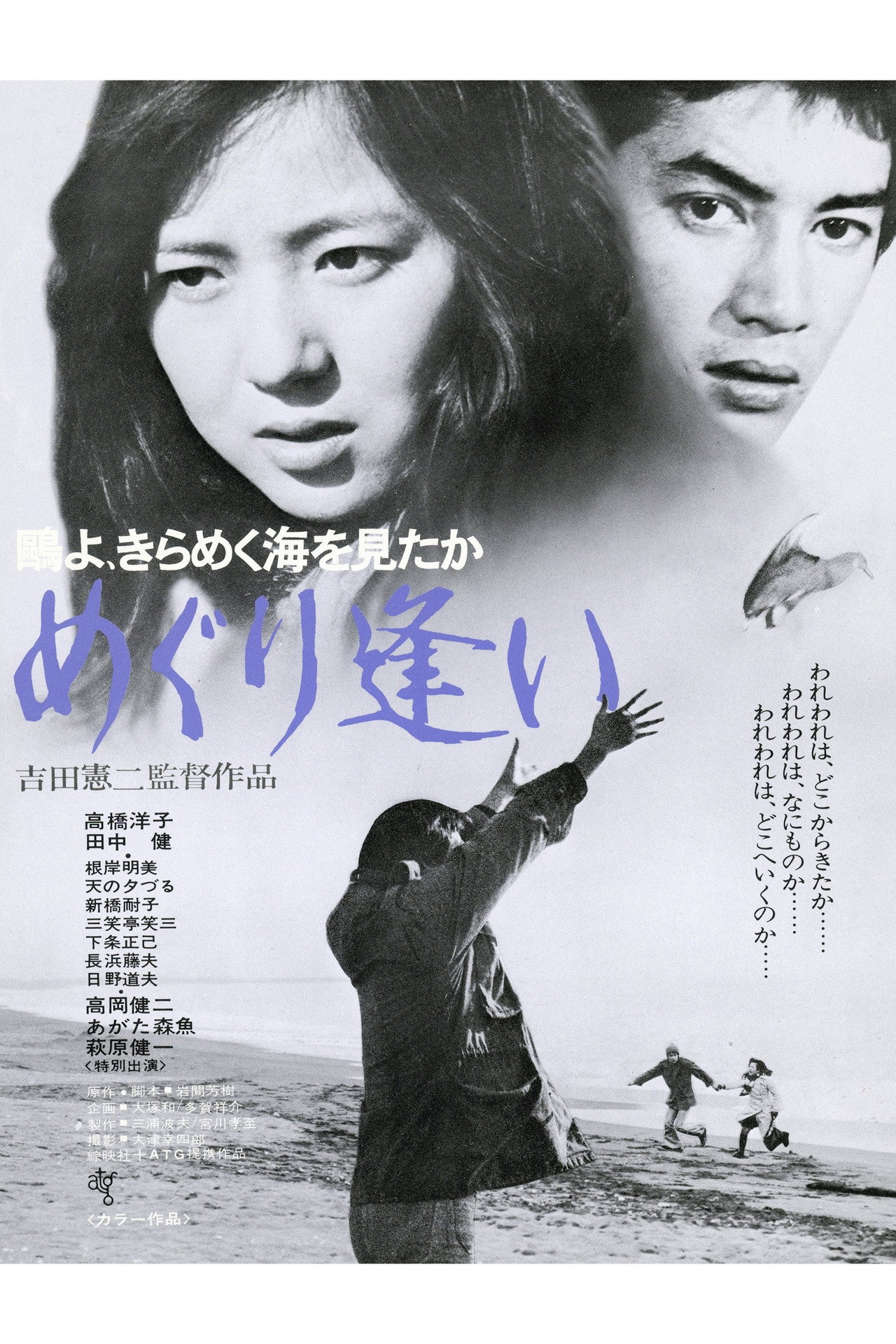 鴎よ、きらめく海を見たか めぐり逢い filmaffisch