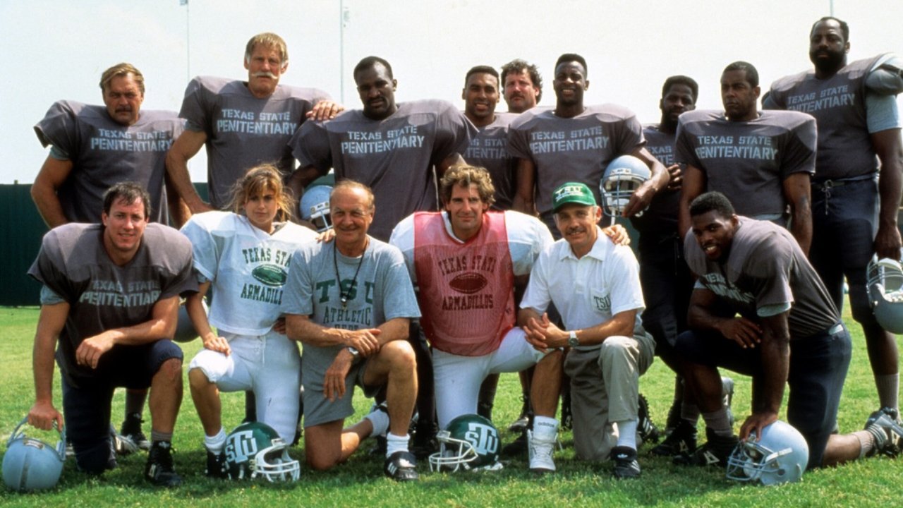 Necessary Roughness (1991)