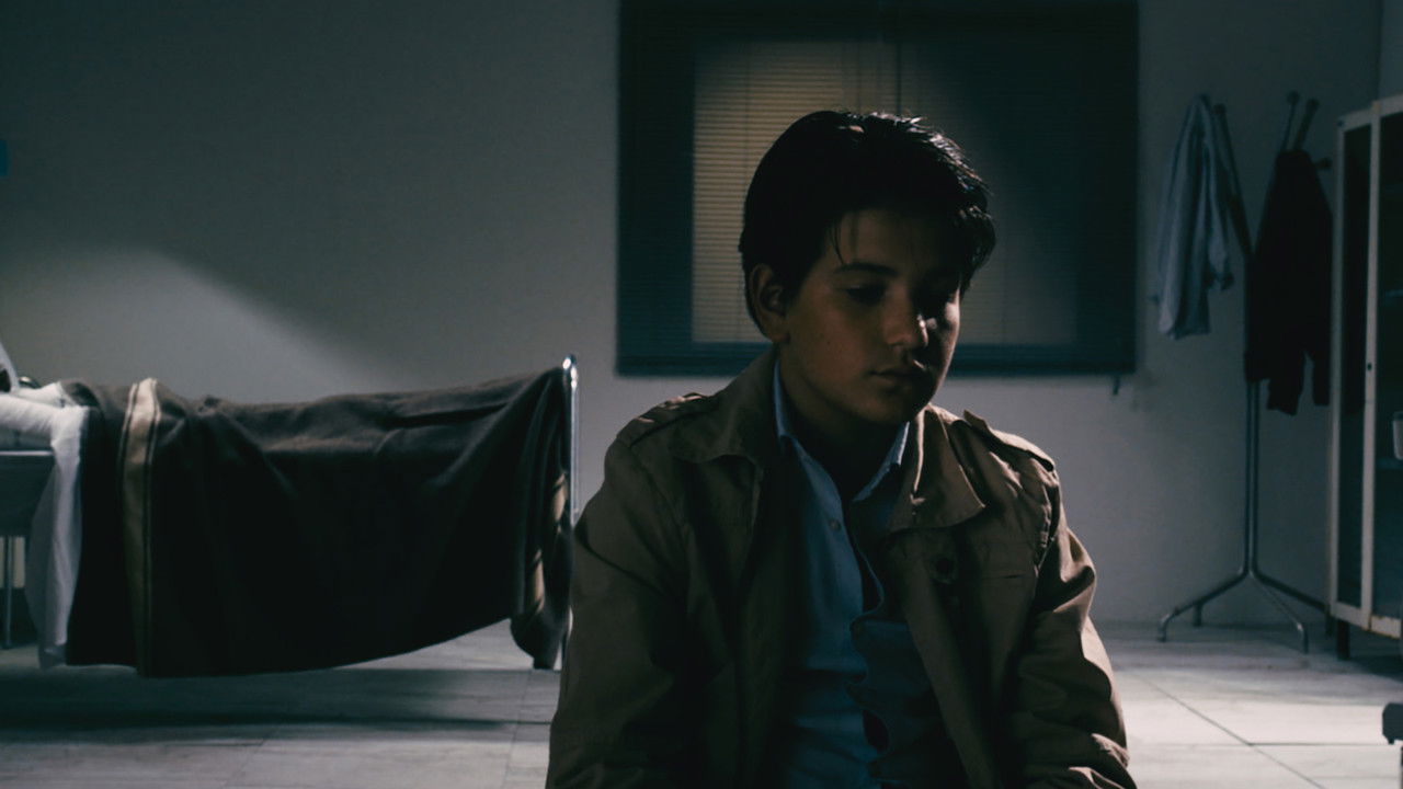 Confession – How I Found Out I Wouldn't Make the Revolution