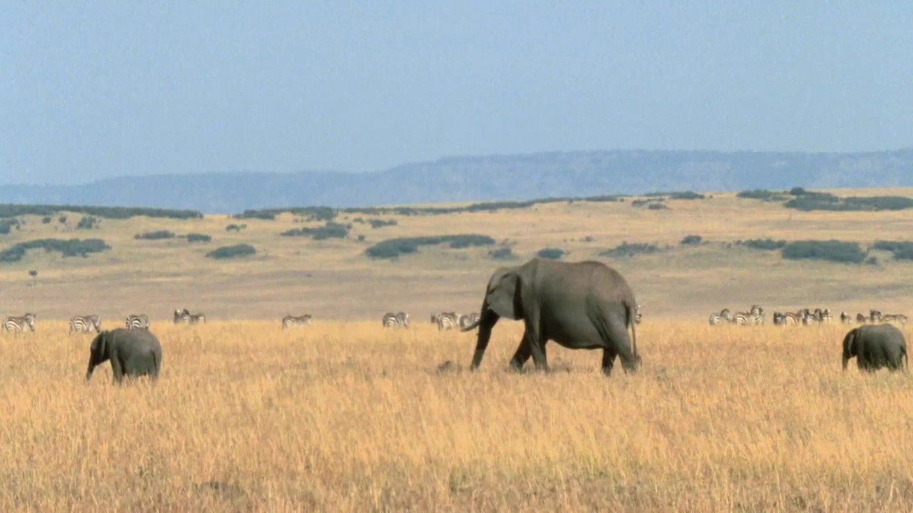 Wild Ones — Épisode 3