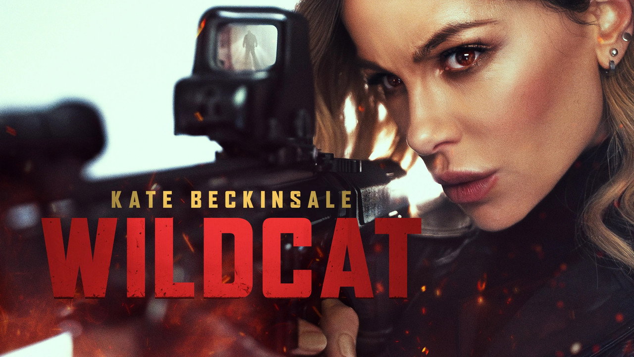 Wildcat still