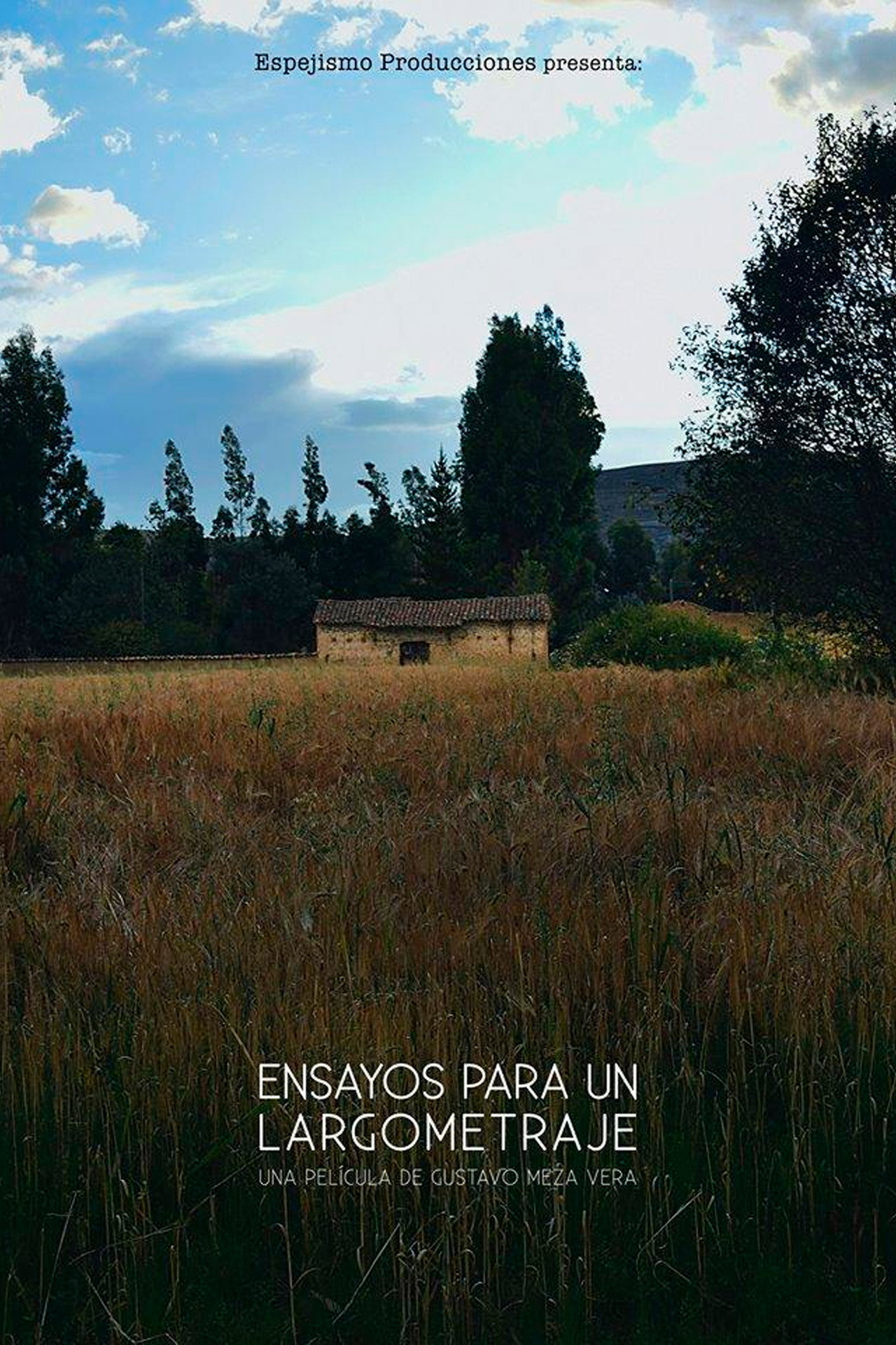 Ensayos para un largometraje