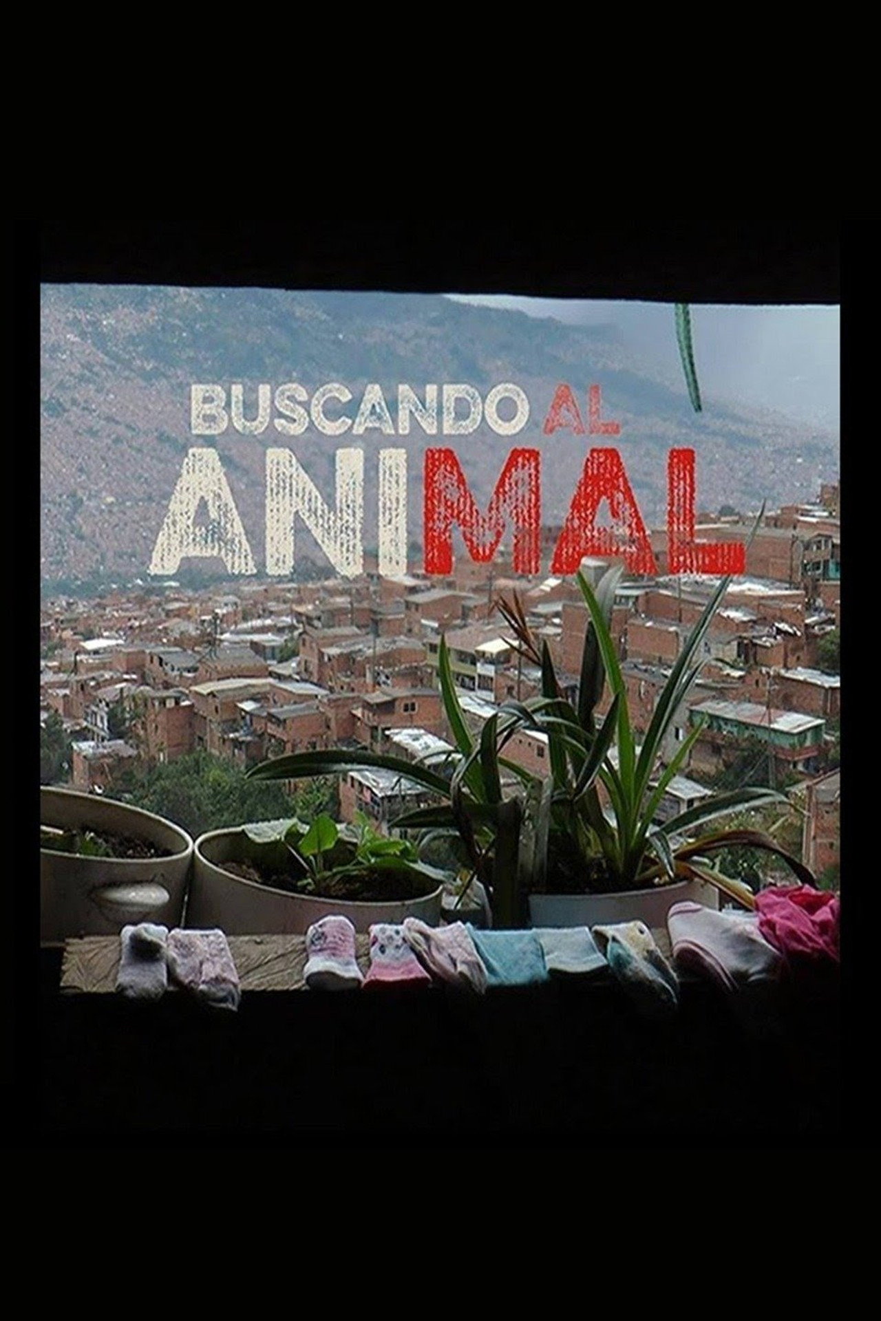 Buscando al animal filmaffisch
