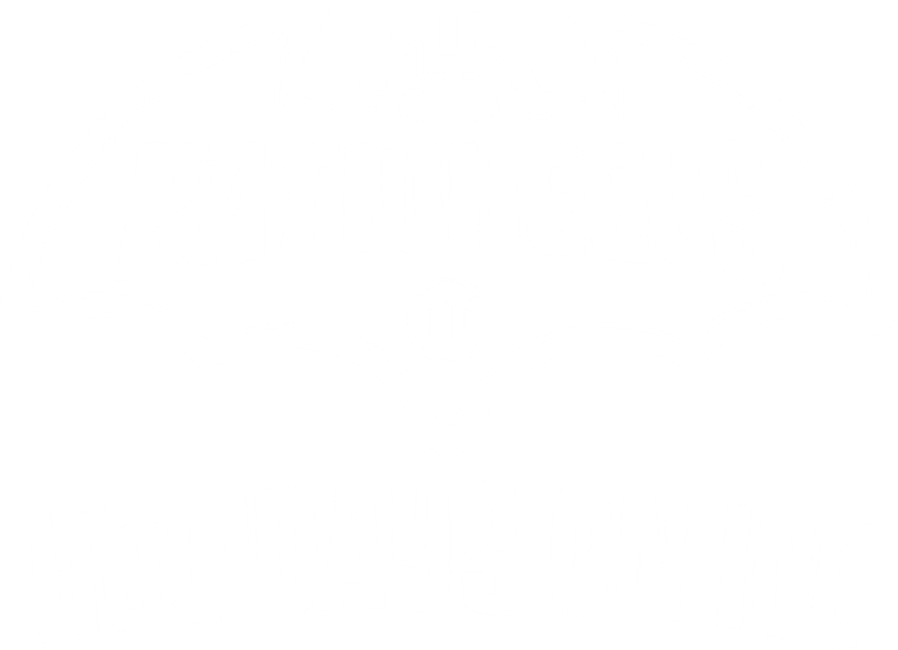 Batwheels