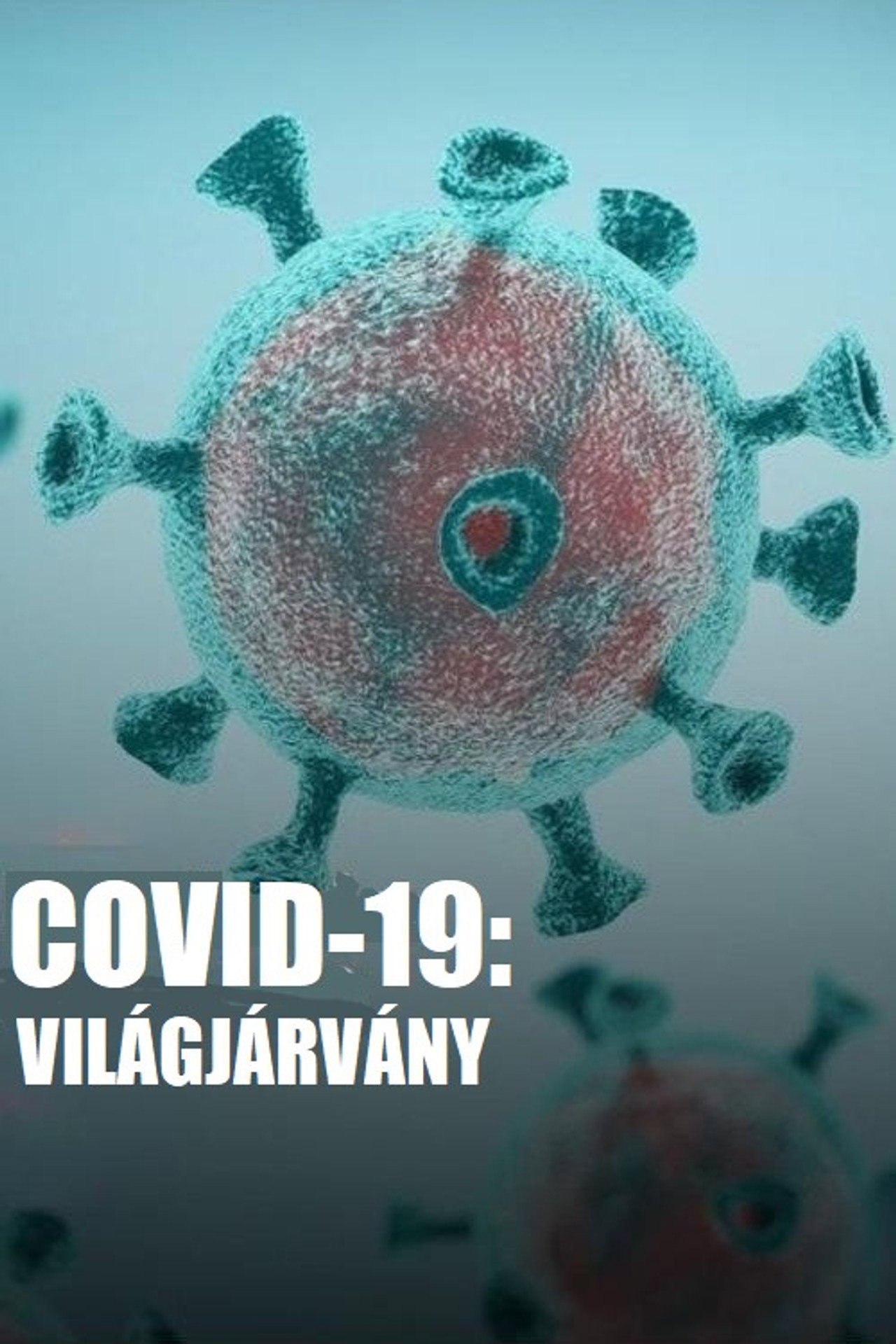 COVID-19: Világjárvány – plakát 3