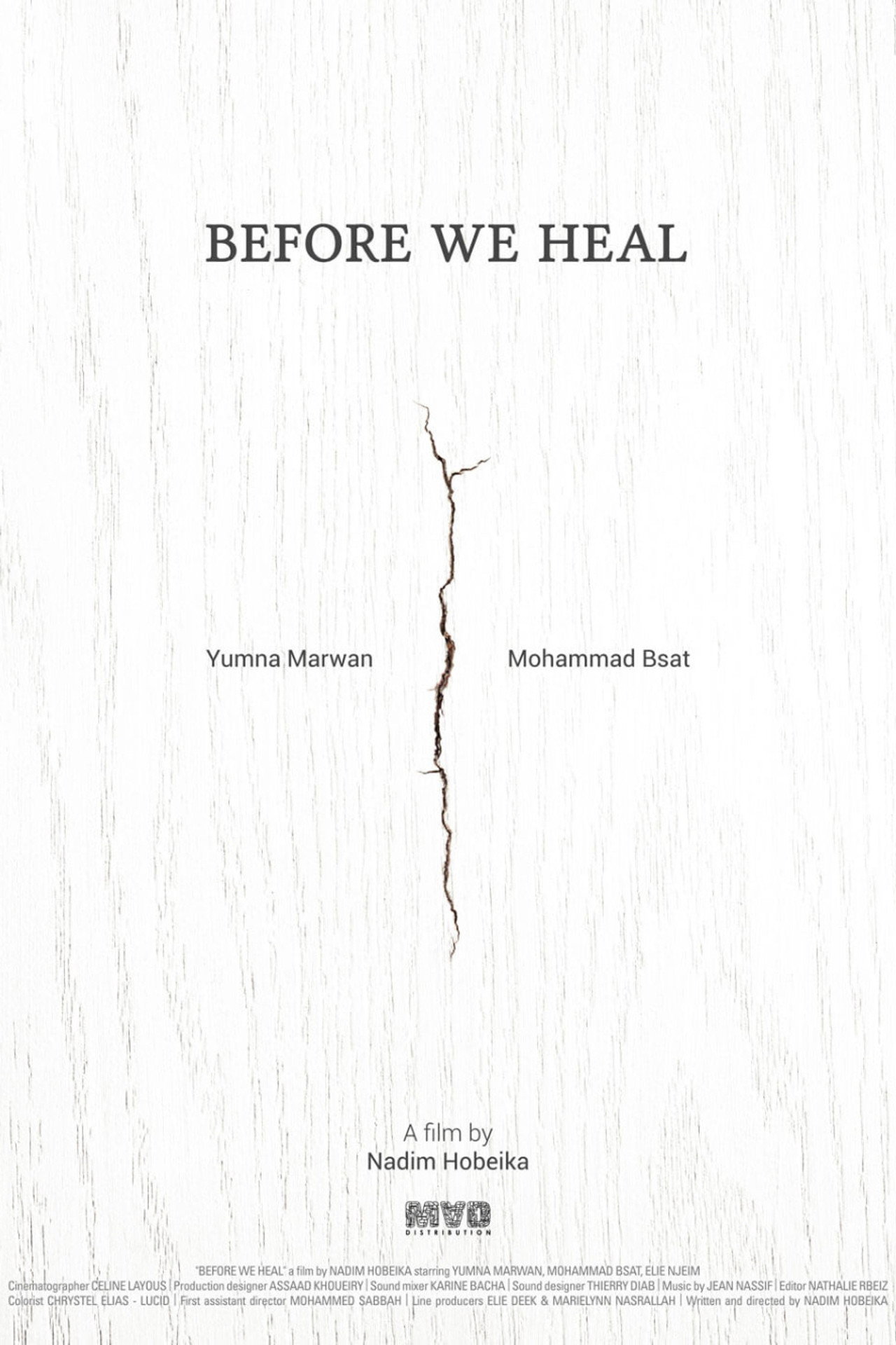Before We Heal