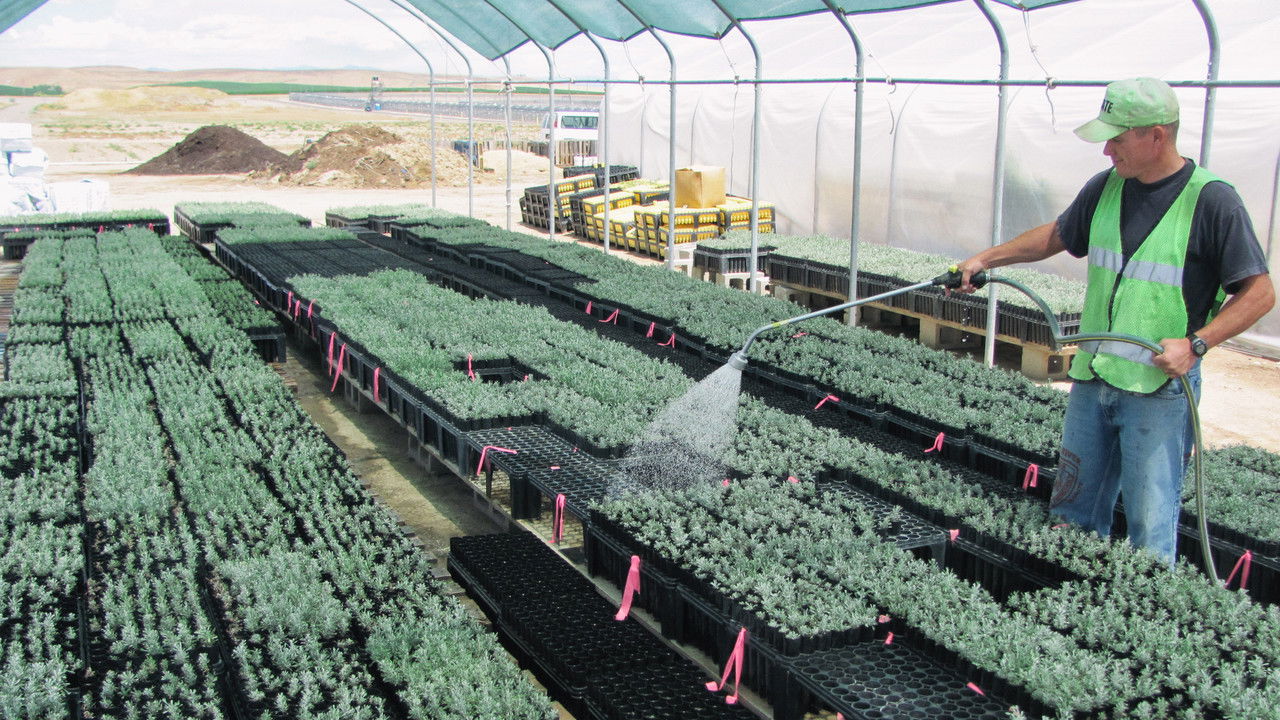 Oregon Field Guide — Épisode 11