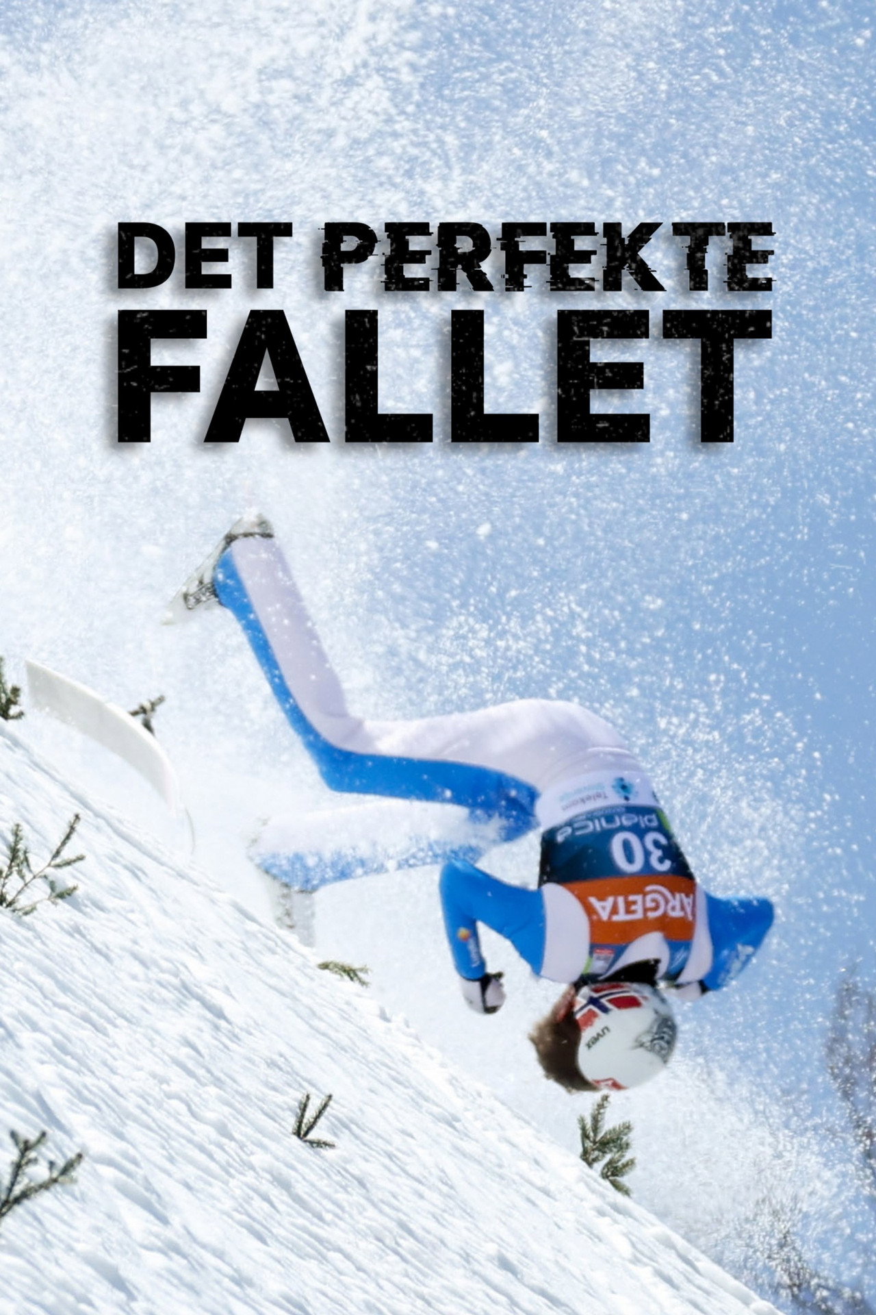 Det perfekte fallet affisch