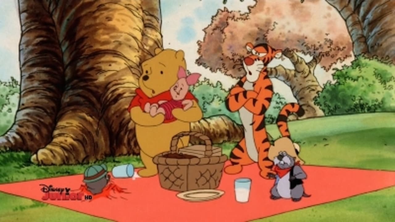 The New Adventures of Winnie the Pooh - Season 4 Episode 9 : To Dream the Impossible Scheme