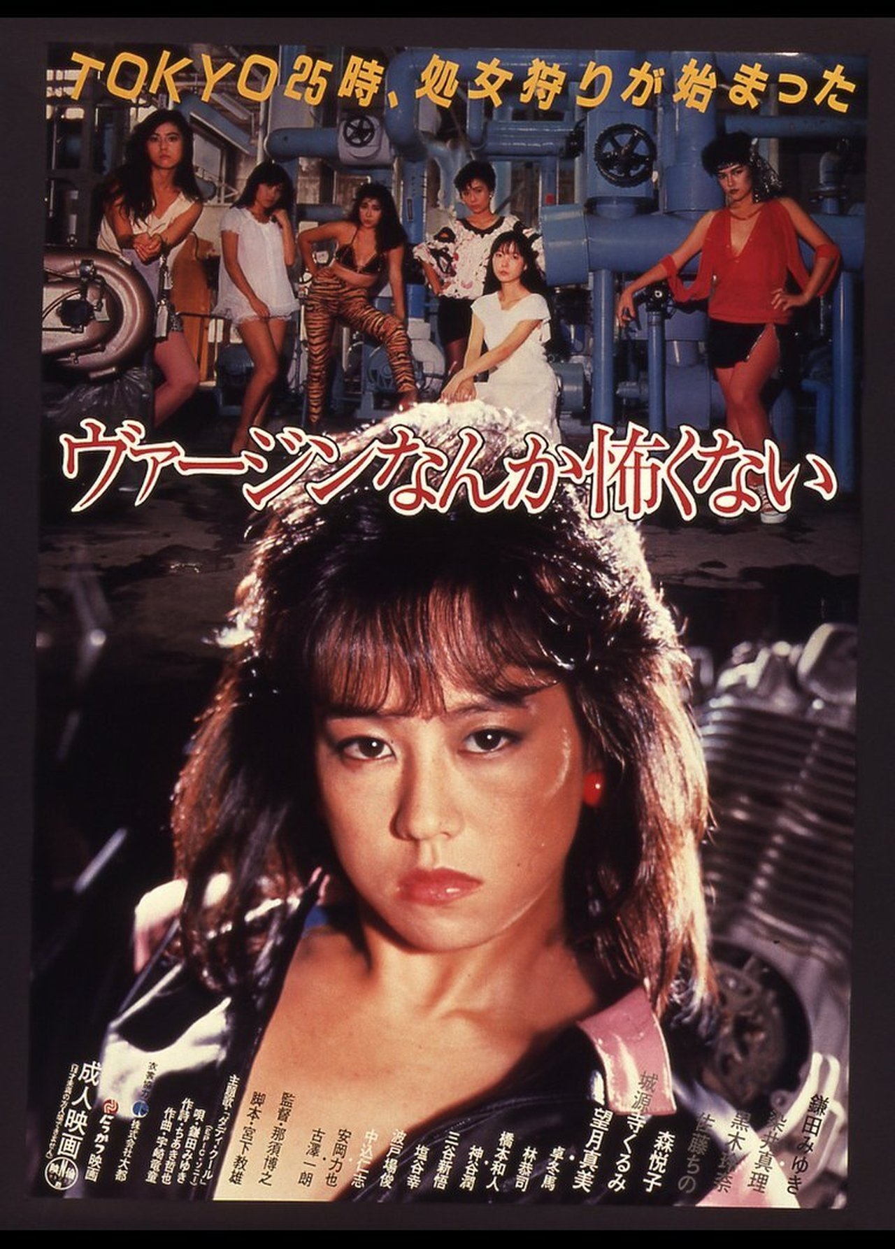 ヴァージンなんか怖くない ヴァージンなんか怖くない