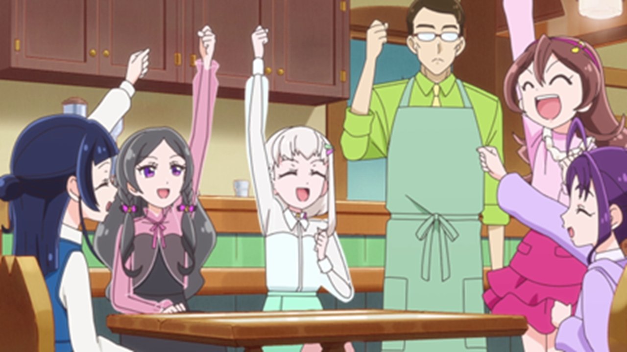 You and Idol Precure ♪ - Season 1 Episode 36 : It's Settled! You and I Concert!