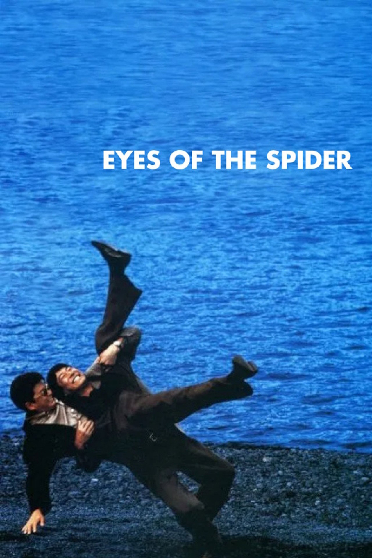 Eyes of the Spider