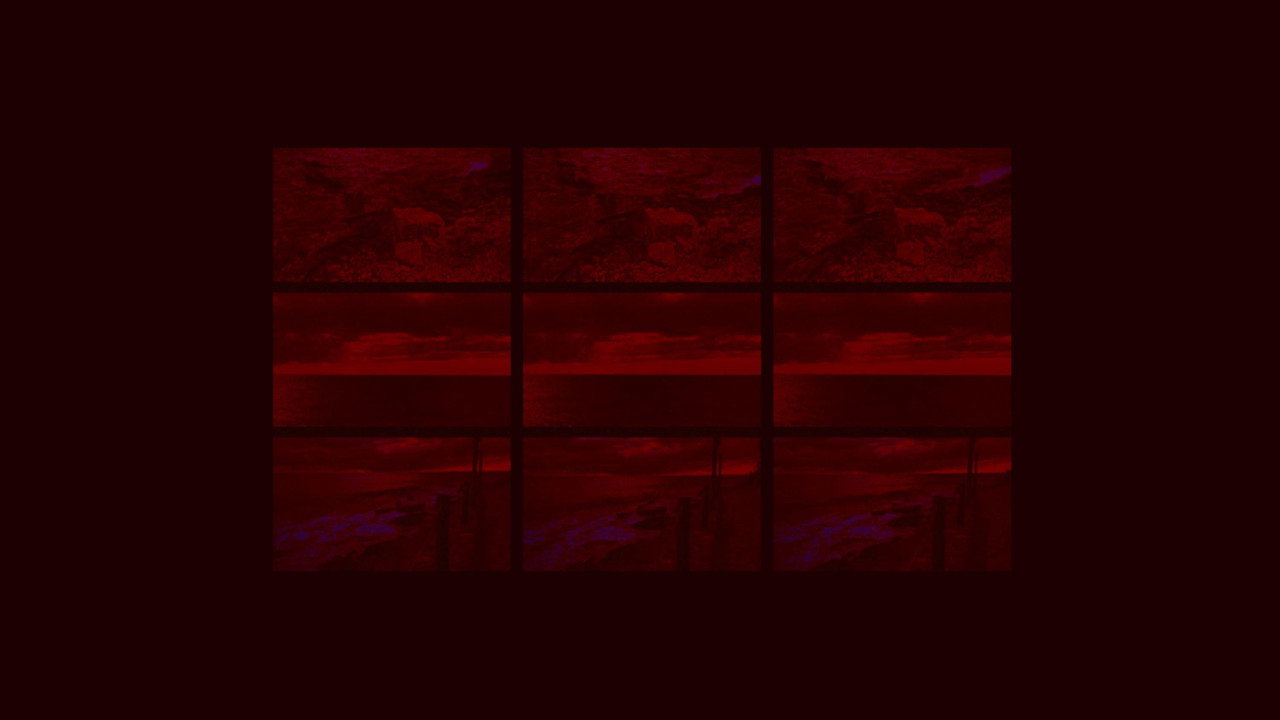 Red Windows