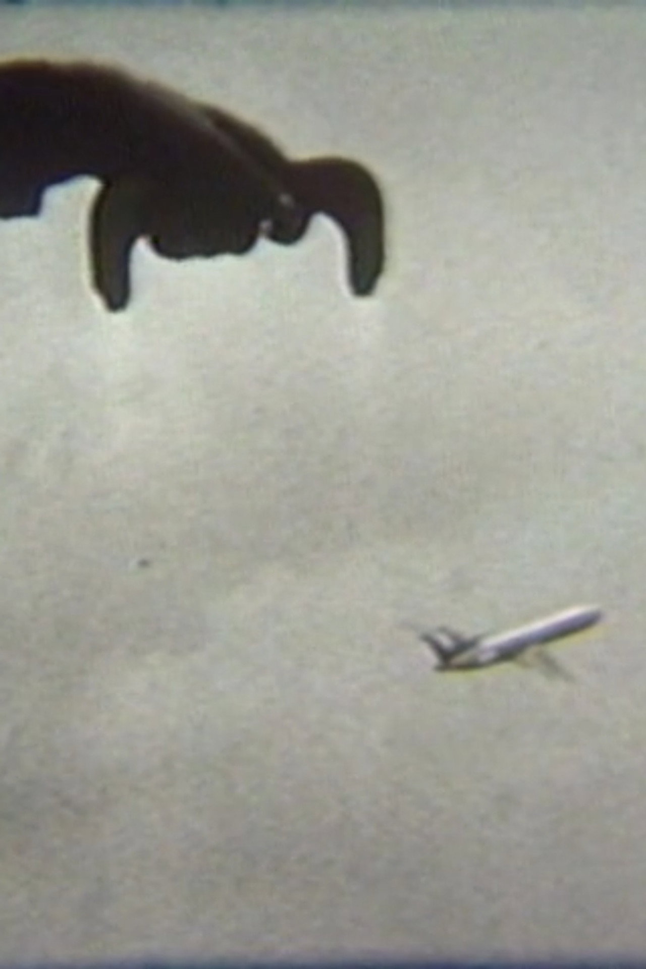 Flying