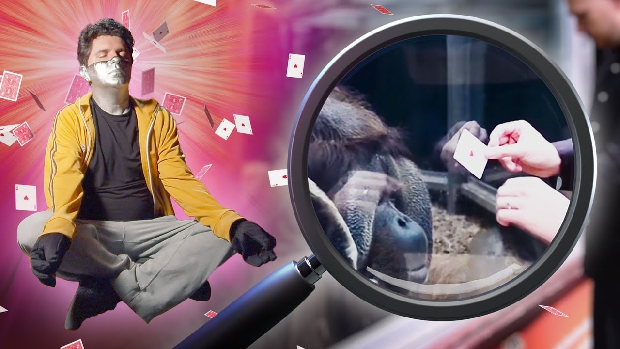 Captain Disillusion — Épisode 1