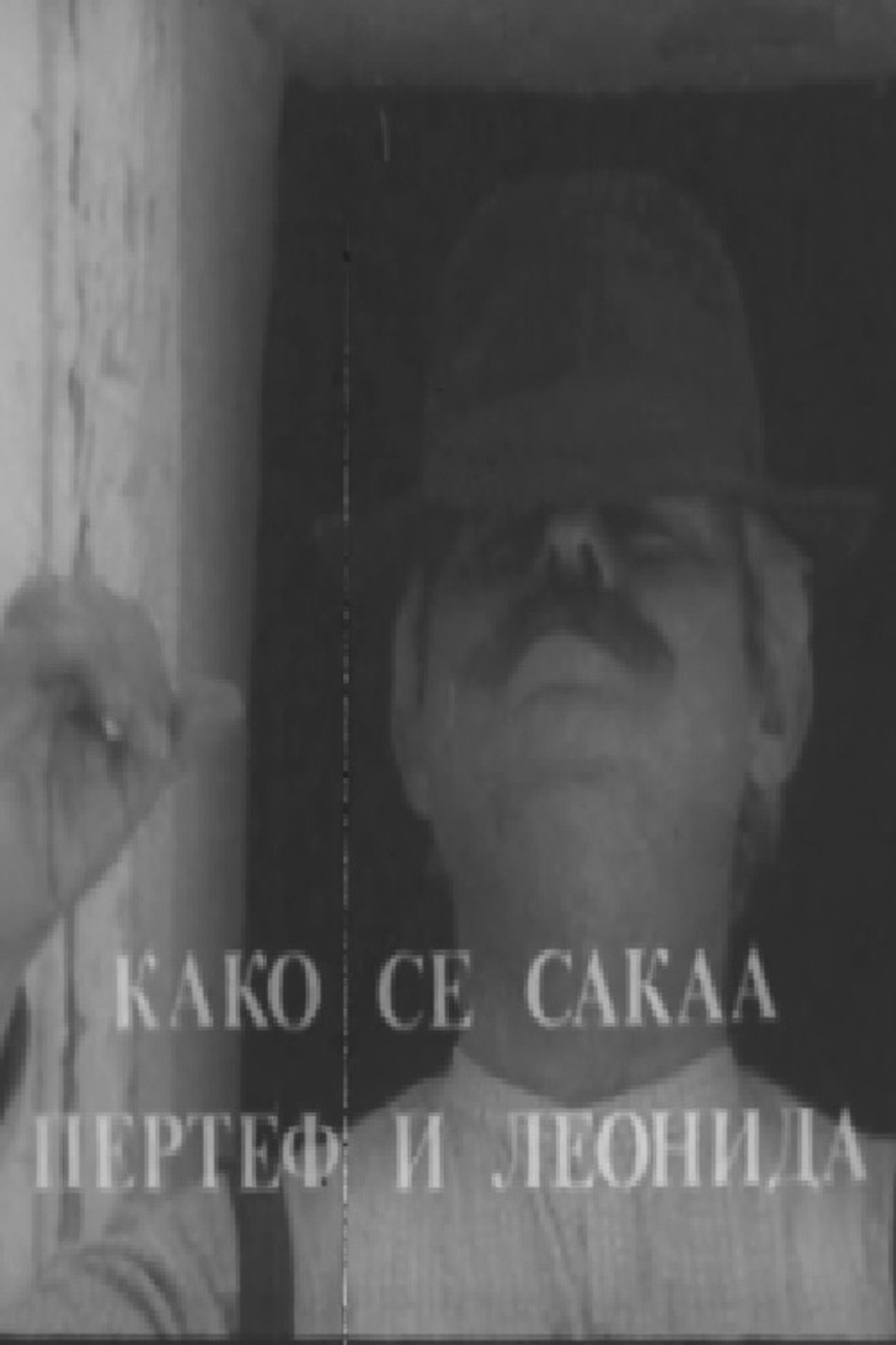 Како се сакаа Пертеф и Леонида Како се сакаа Пертеф и Леонида