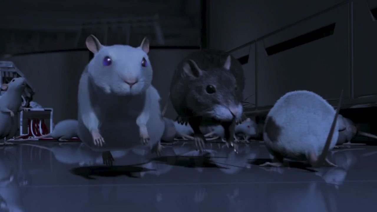 One Rat short Backdrop Image