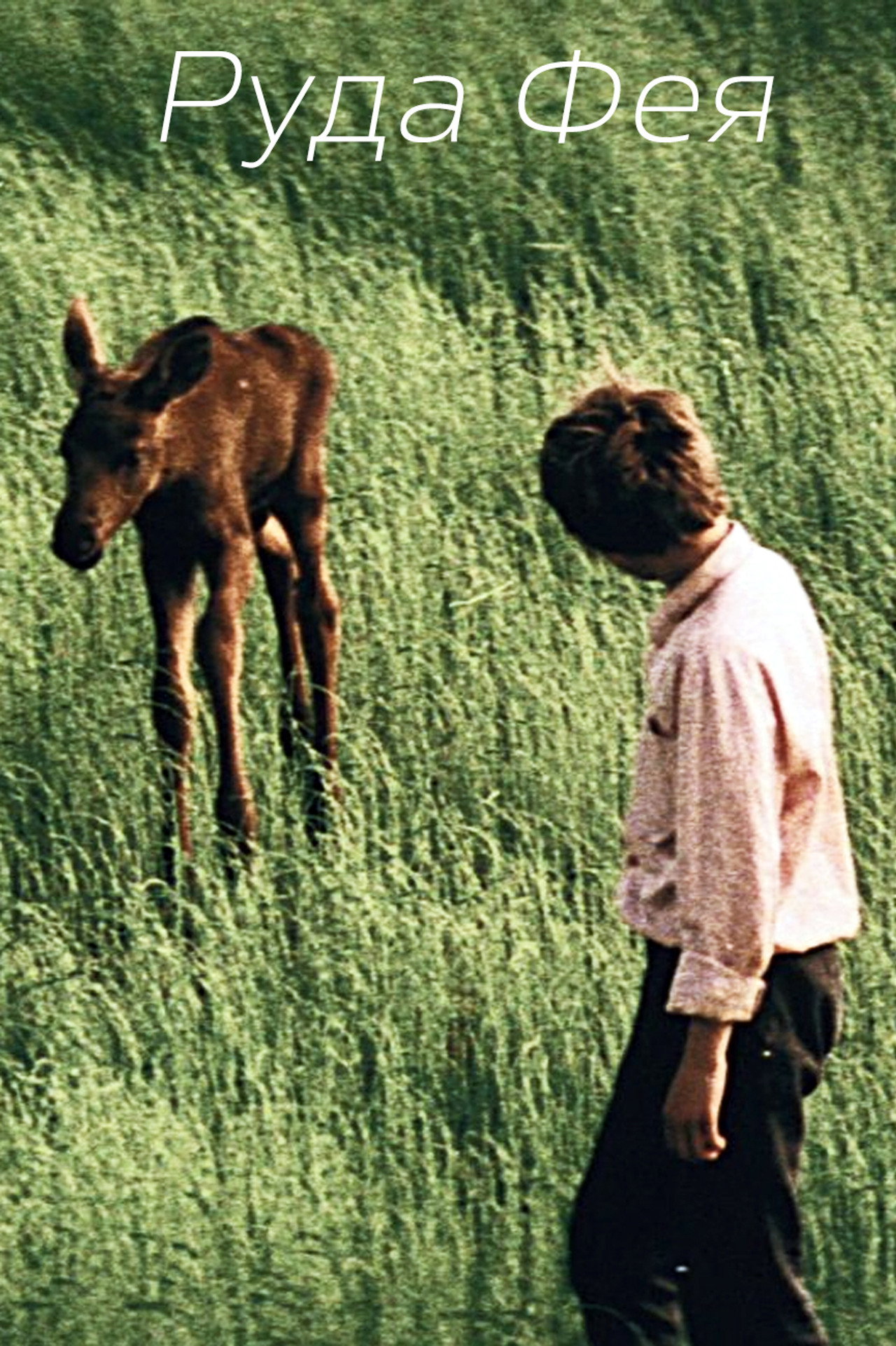 Руда фея filmaffisch