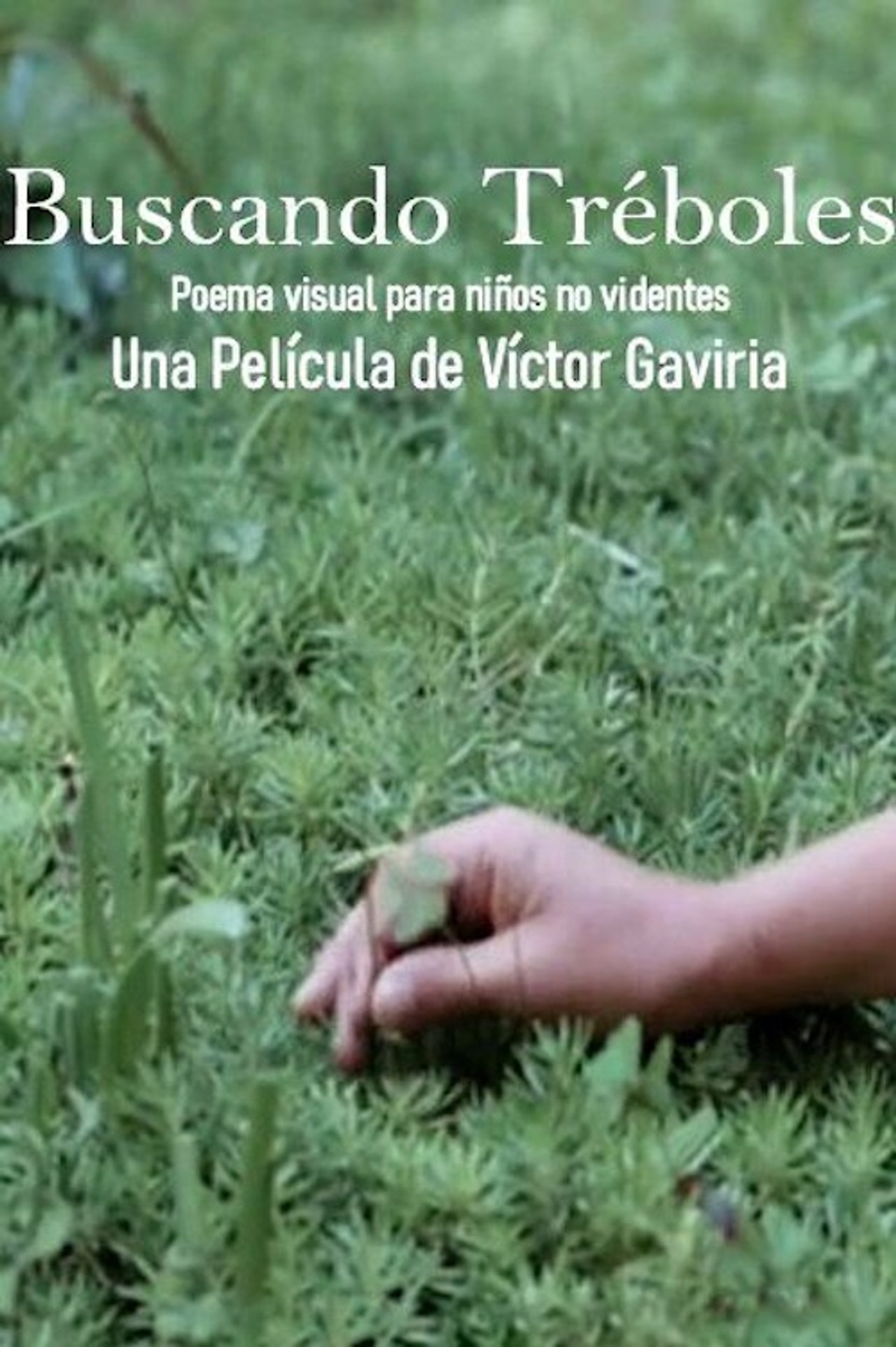 Buscando tréboles filmaffisch