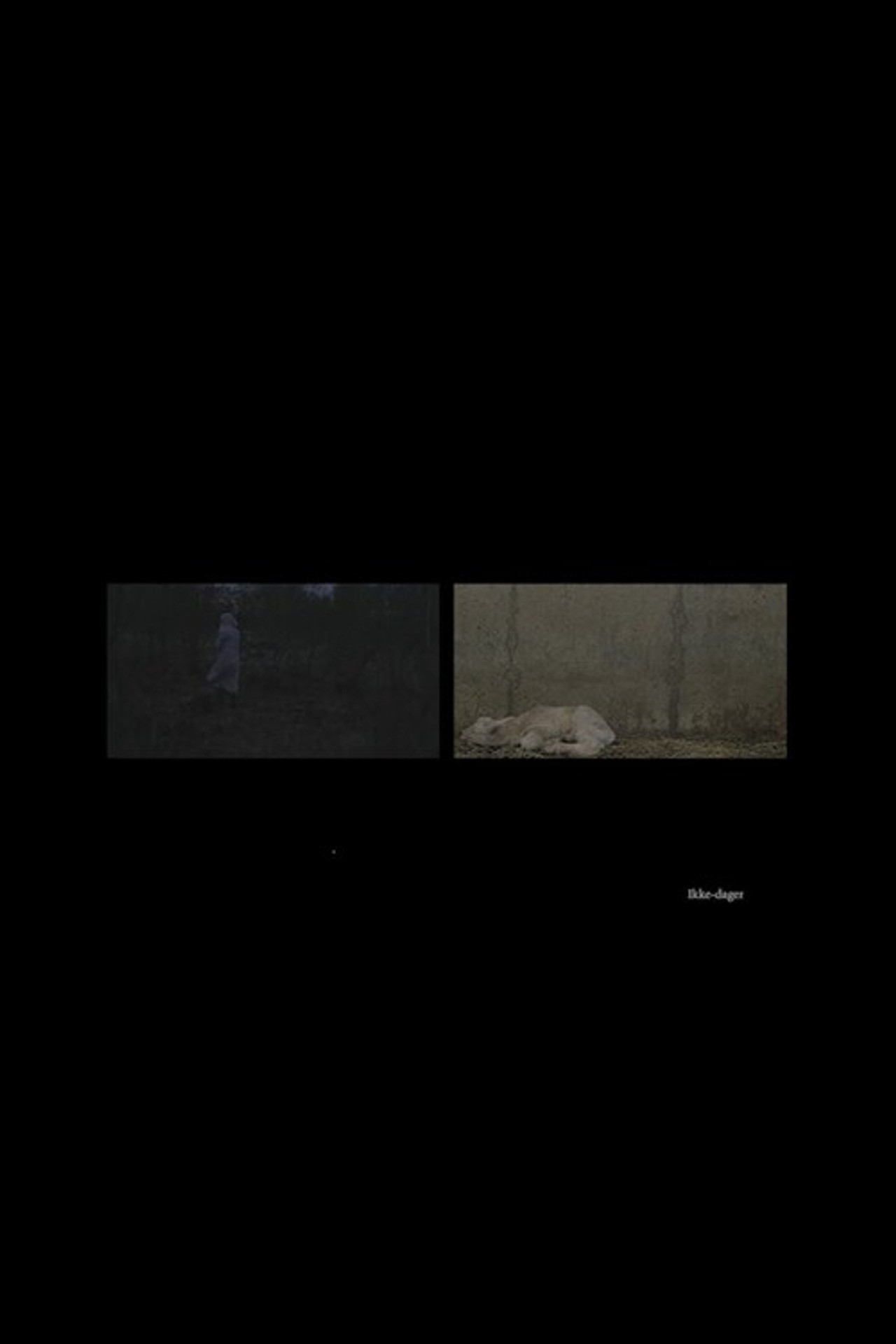 Ikke-dager