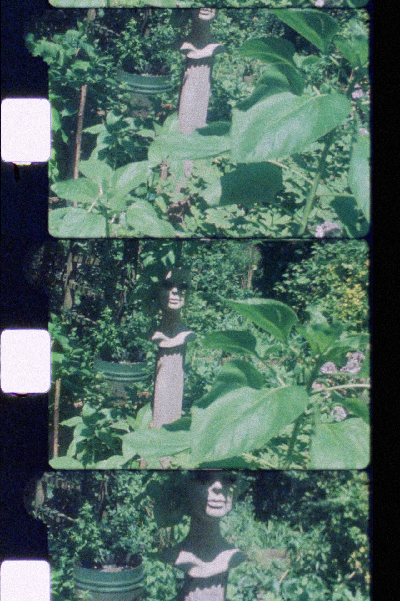 Silent Garden filmaffisch