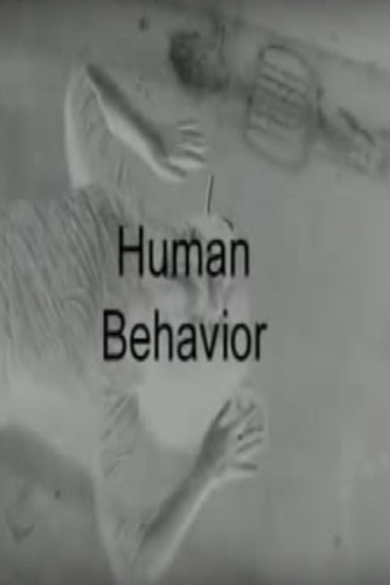 Human Behavior Backdrop