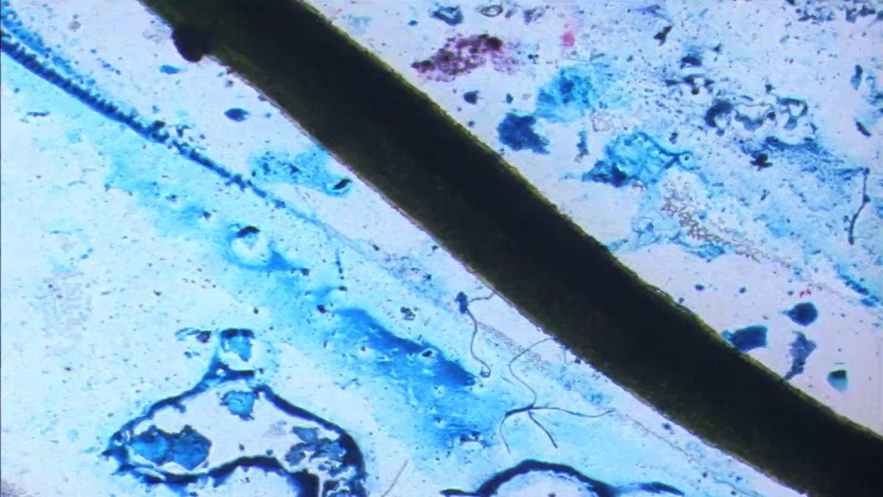 Filmi Eksploratorium backdrop