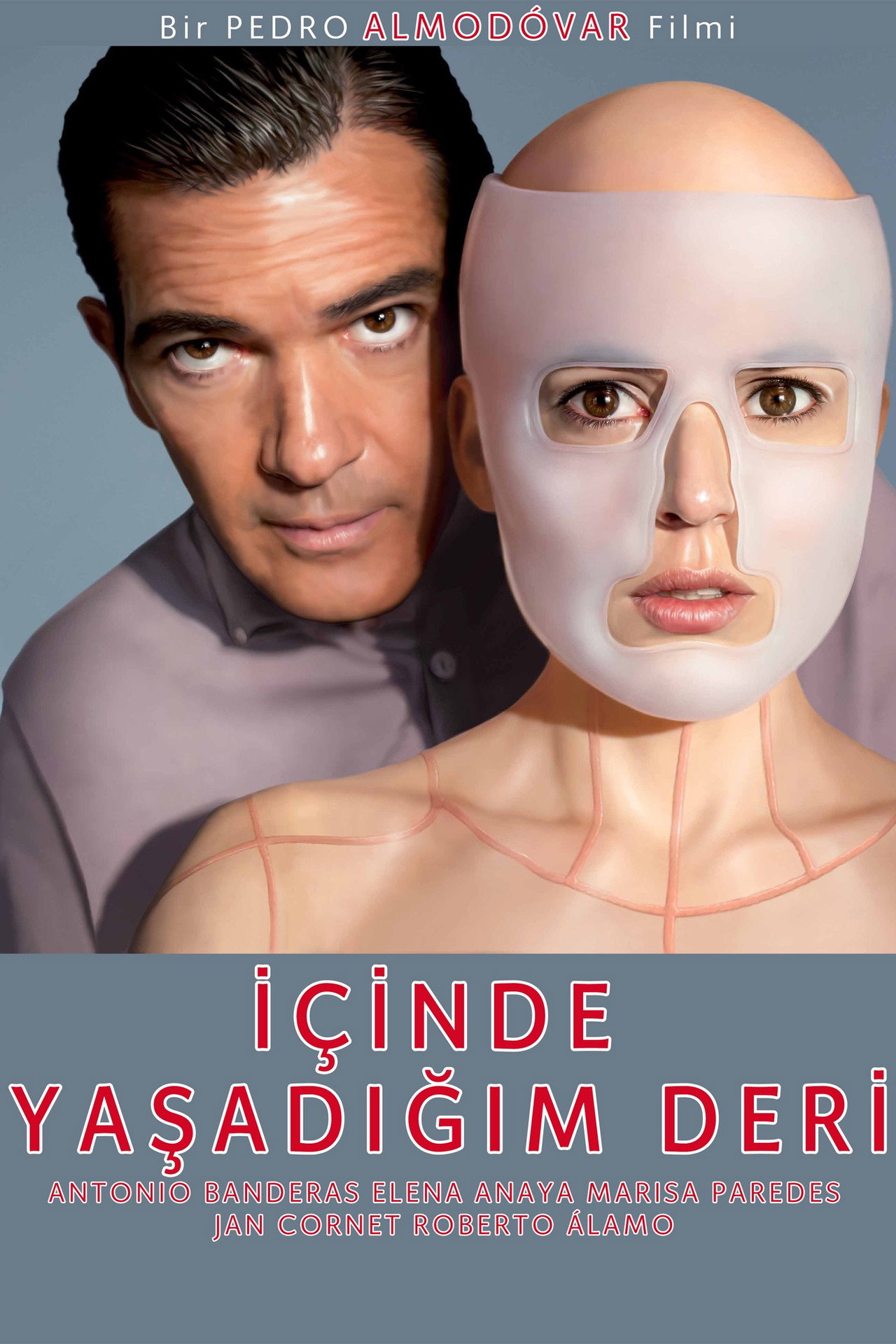 İçinde Yaşadığım Deri Poster