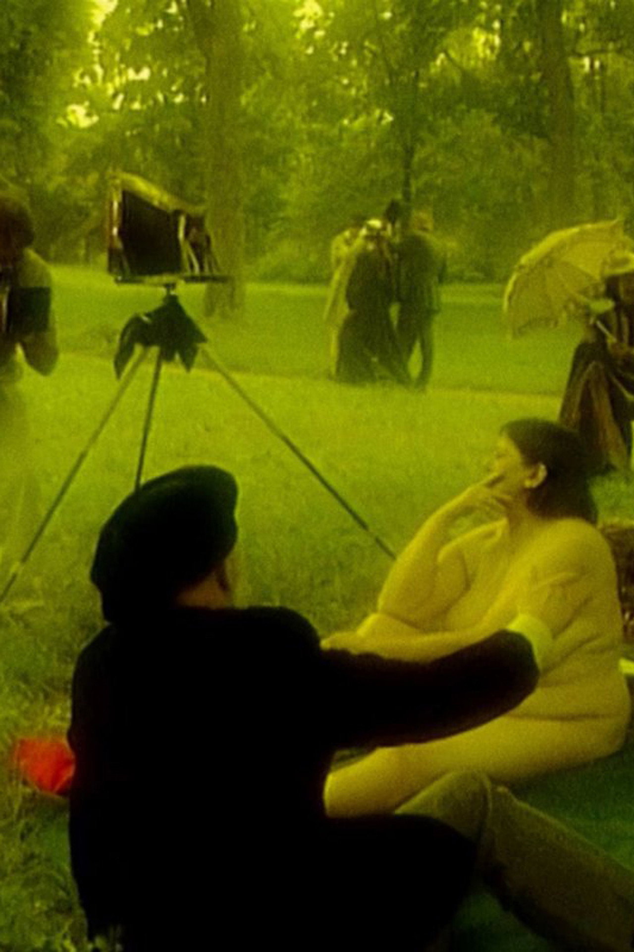 Venera su katinu arba iš peteliškių gyvenimo filmaffisch