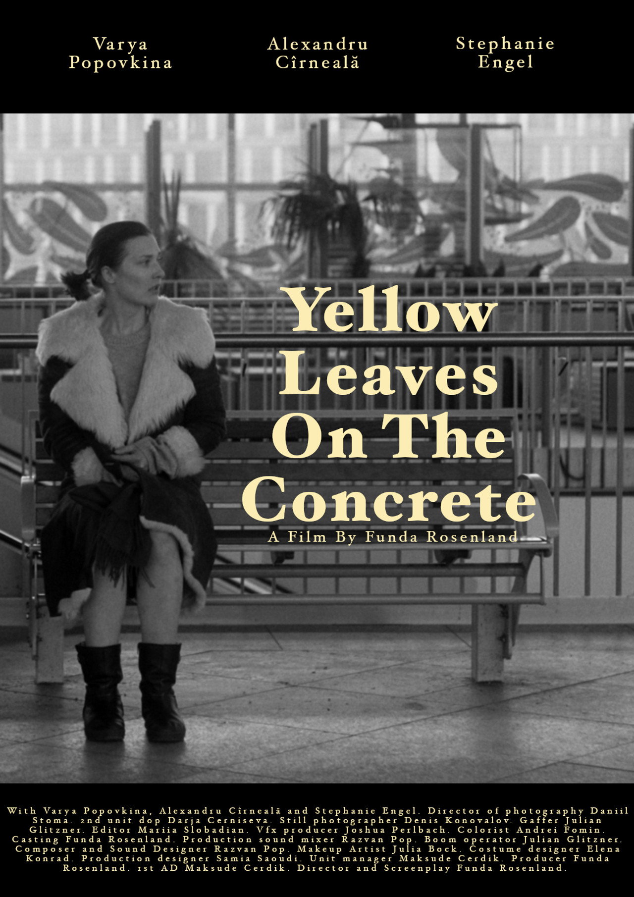 Yellow leaves on the concrete