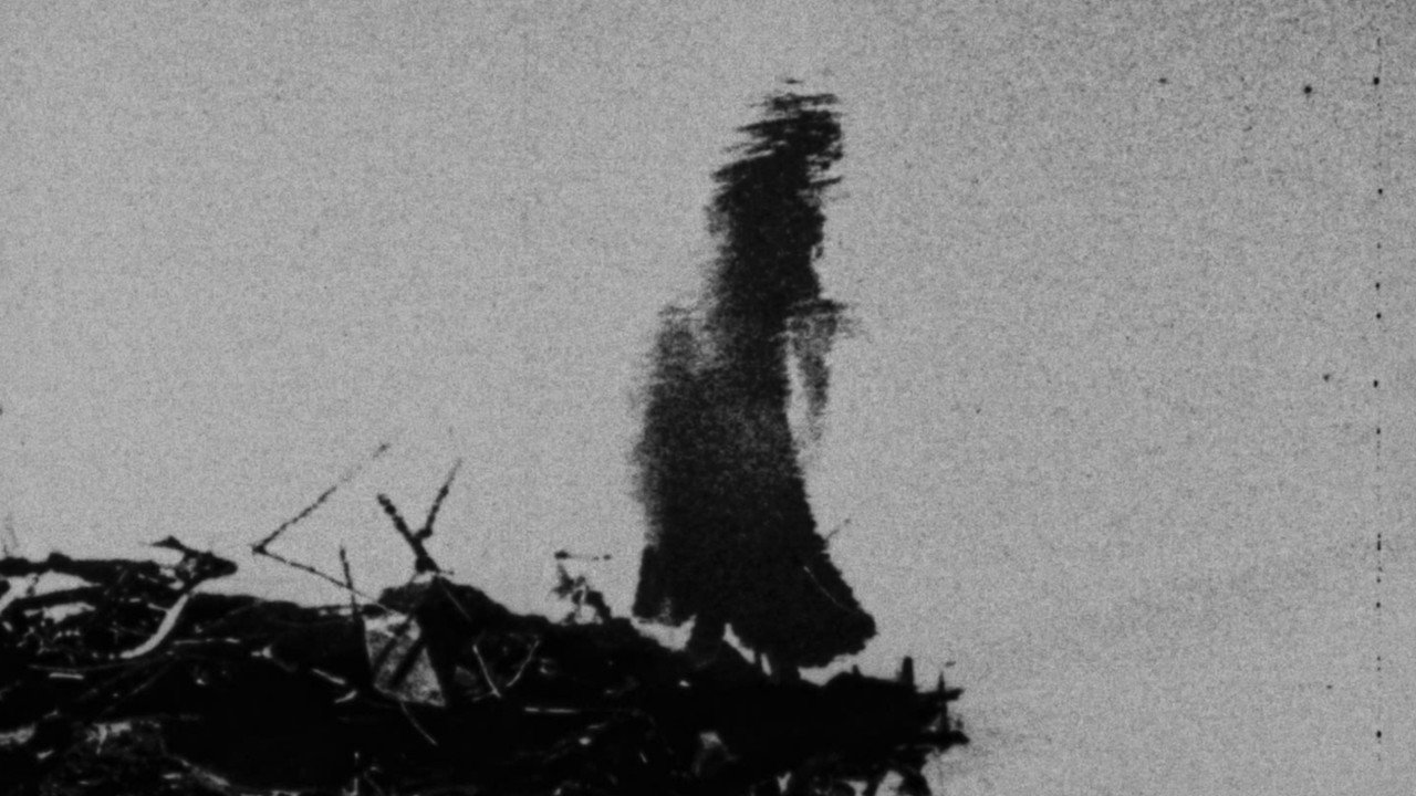Filmgalerie — 11