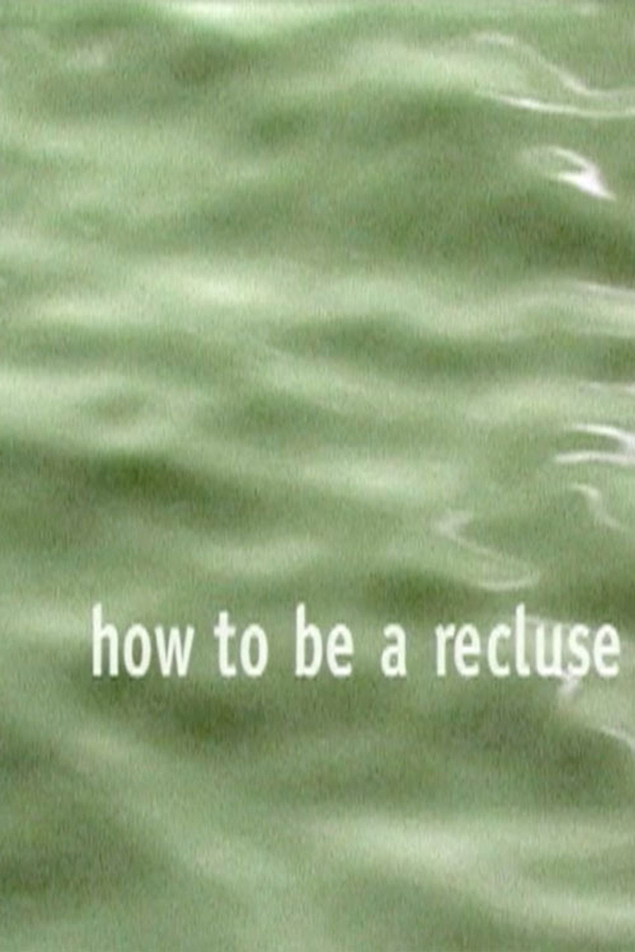 How to Be a Recluse filmaffisch