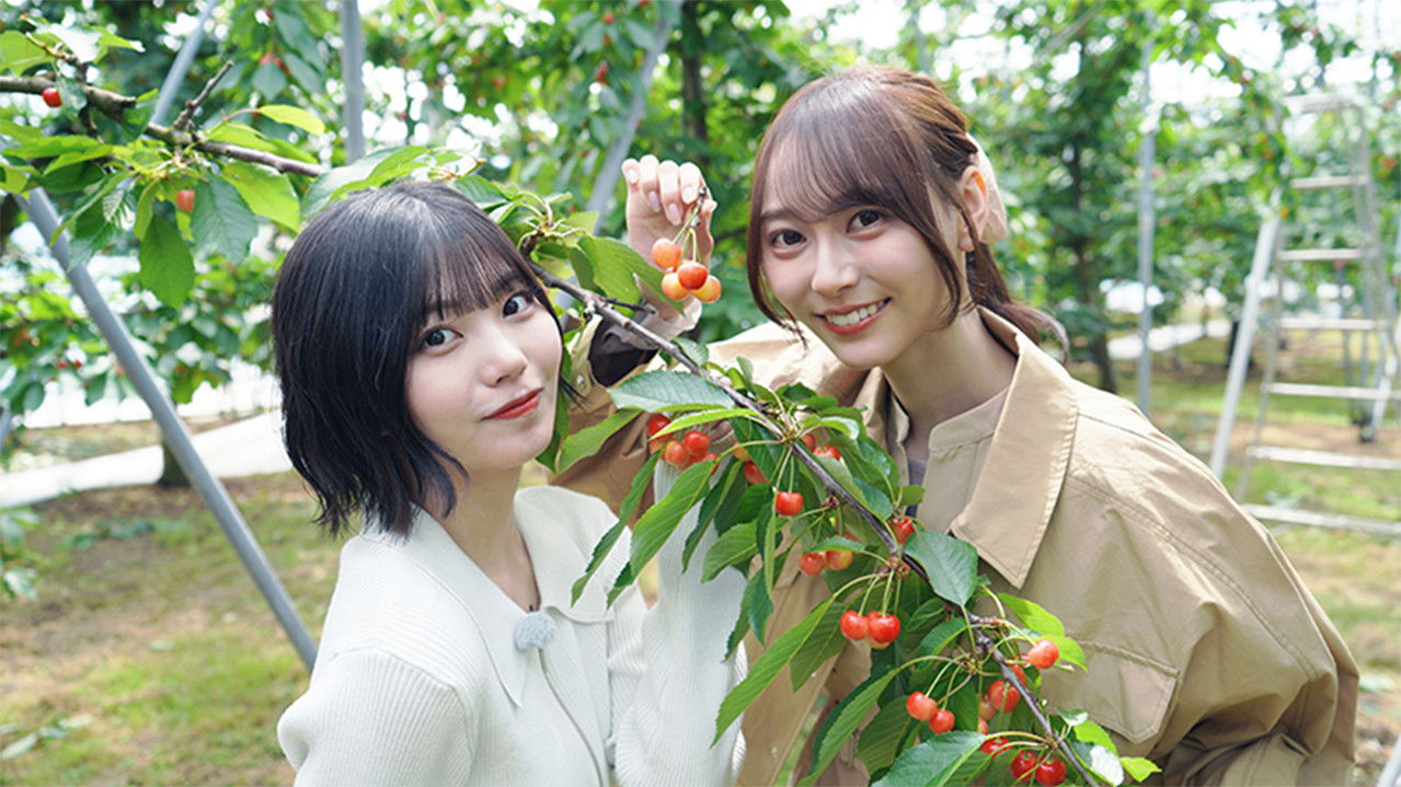 乃木坂、逃避行。 — Épisode 2