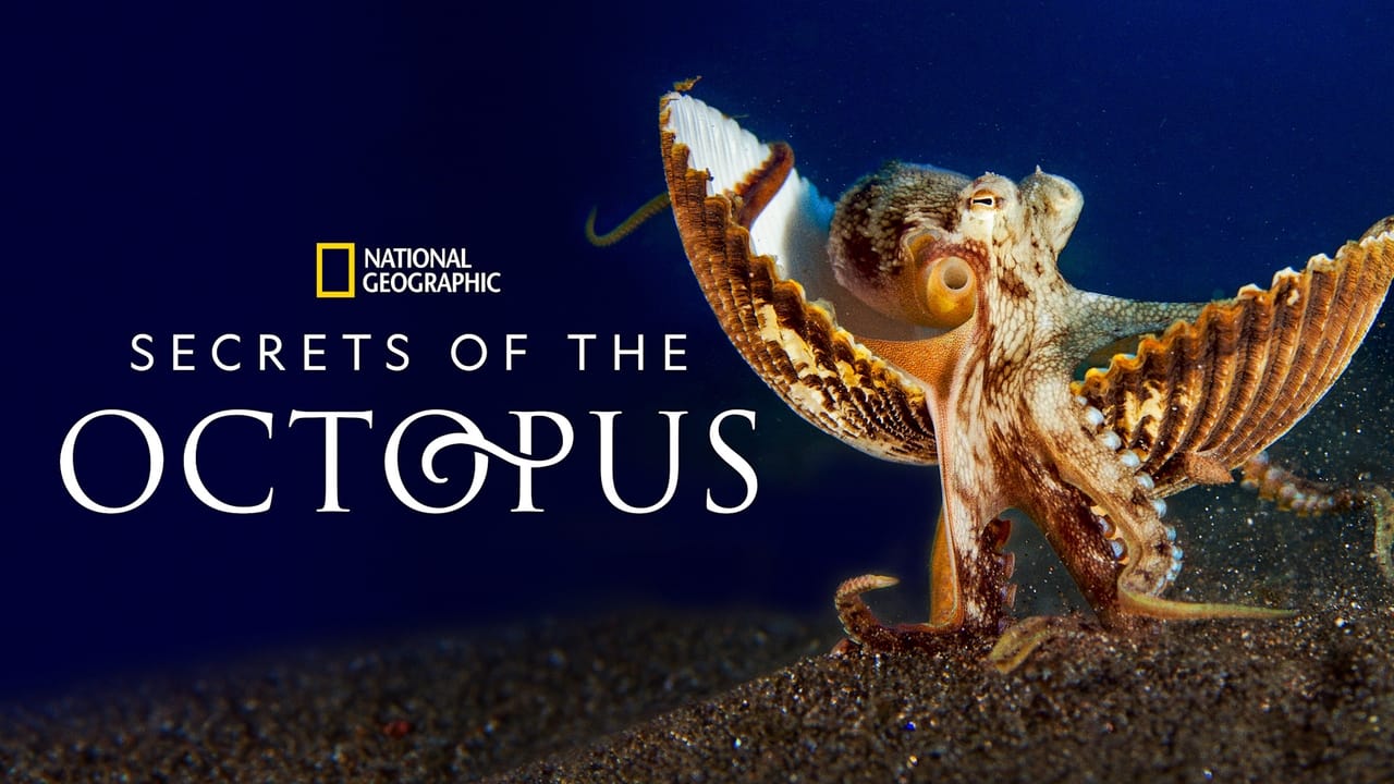 Secrets of the Octopus