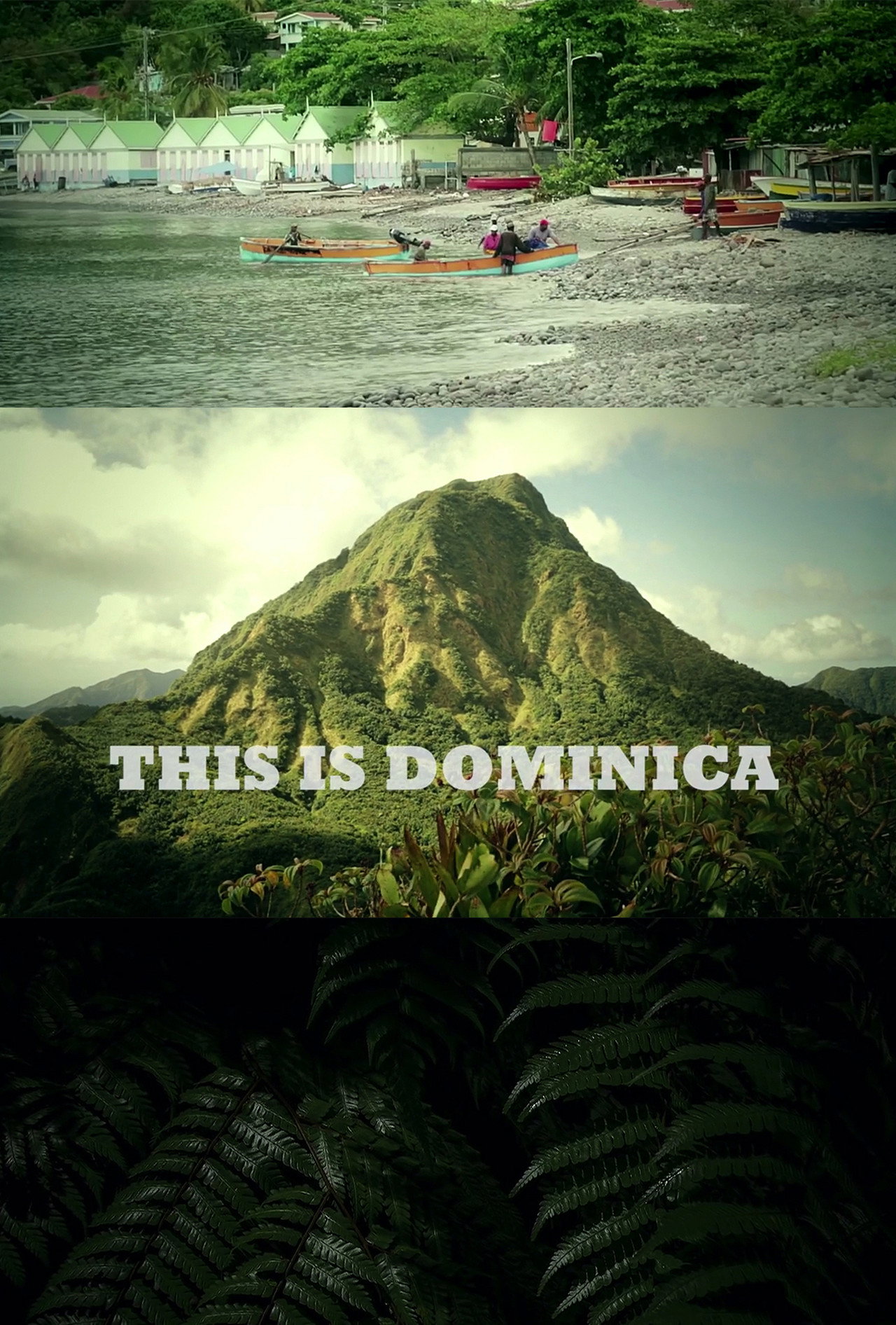 This Is Dominica Backdrop