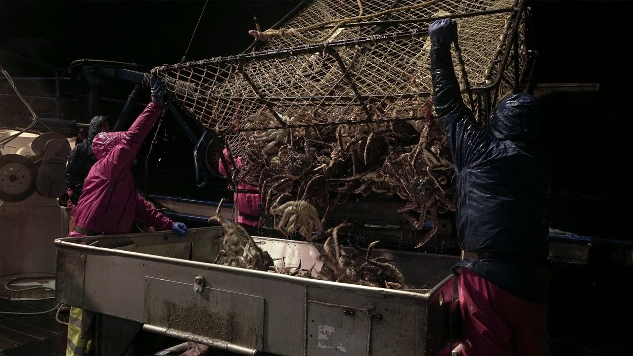 Deadliest Catch - Season 14 Episode 2 : First Blood