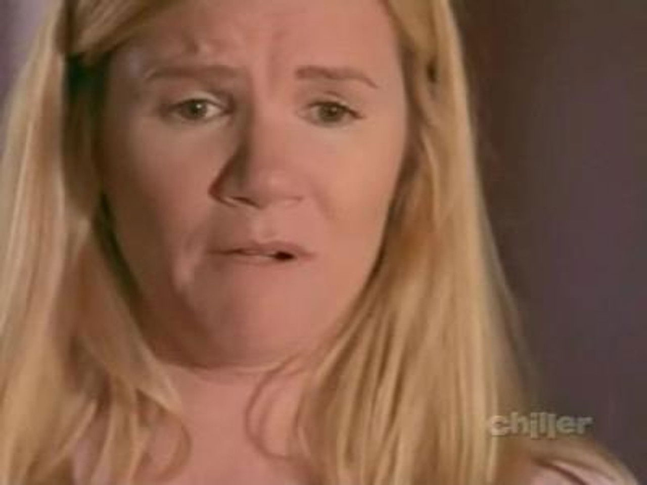 The Doghouse / Still Life