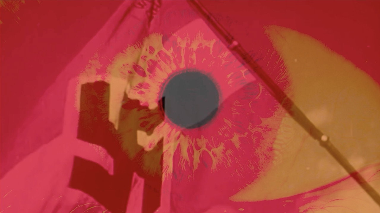 Schizophrenic perpetual hemorrhage from the reichian perspective