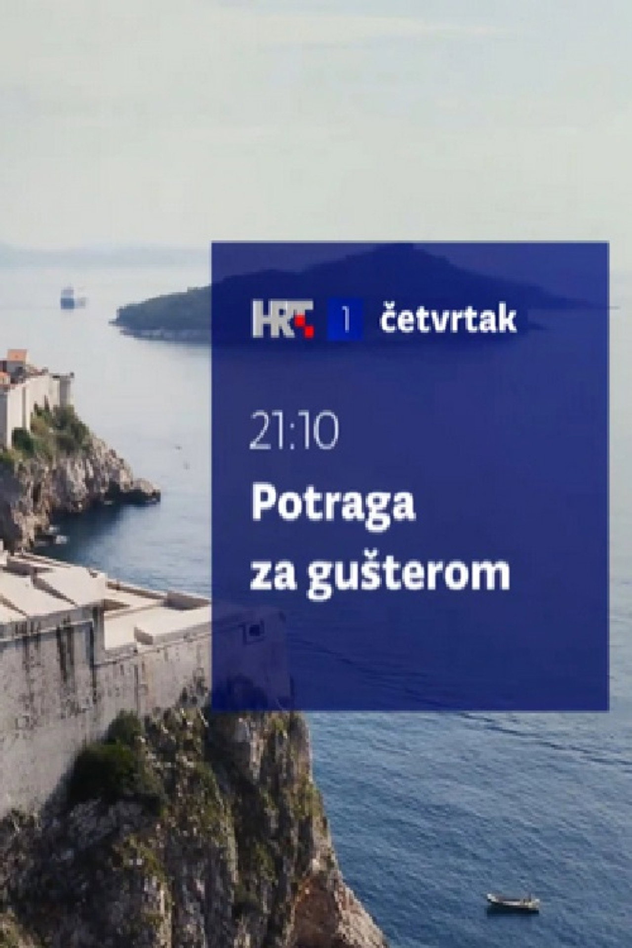 Potraga za Gušterom filmaffisch