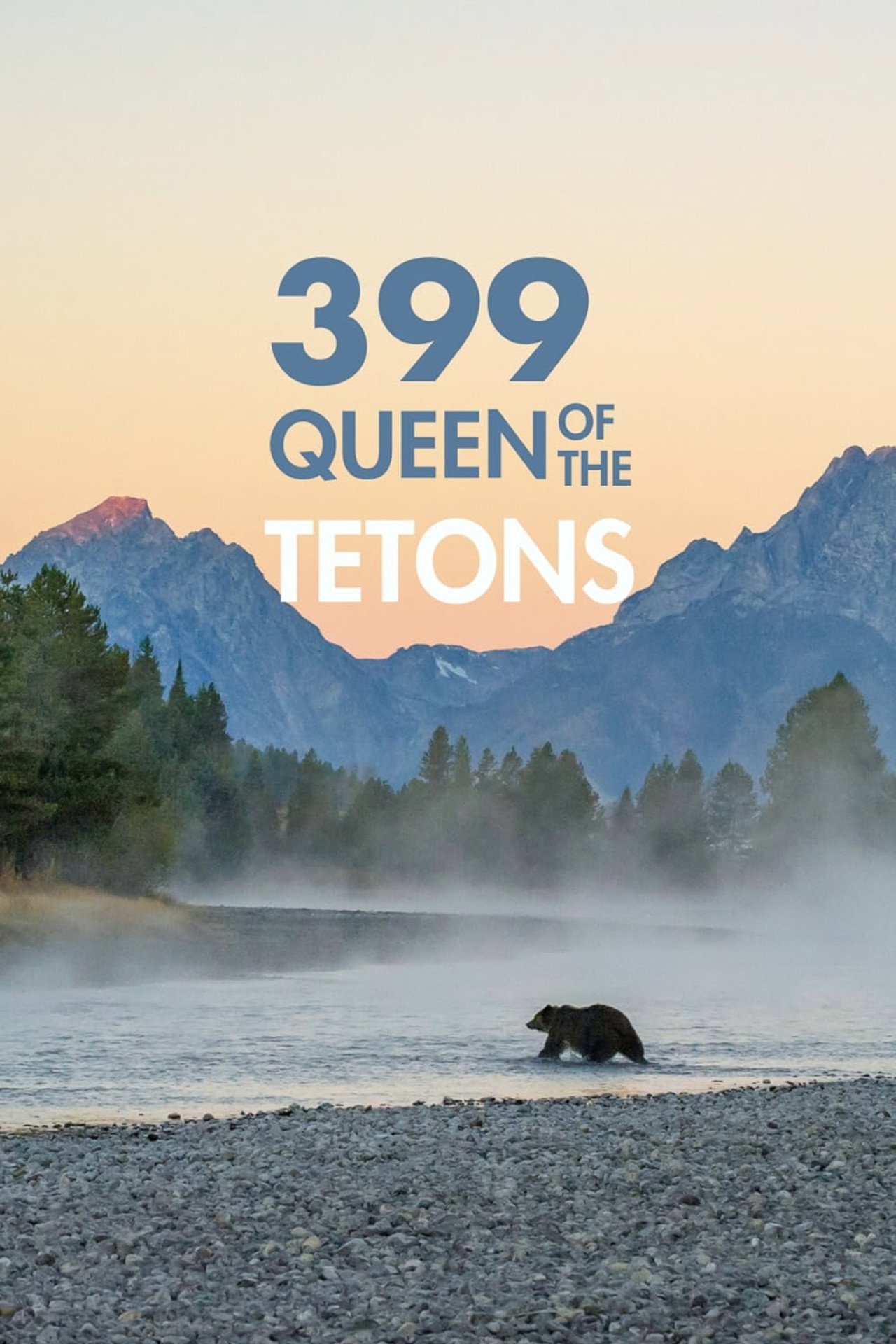 Grizzly 399: Queen of the Tetons