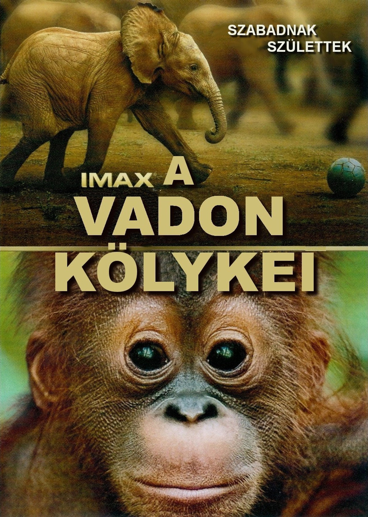 A vadon kölykei – plakát 6